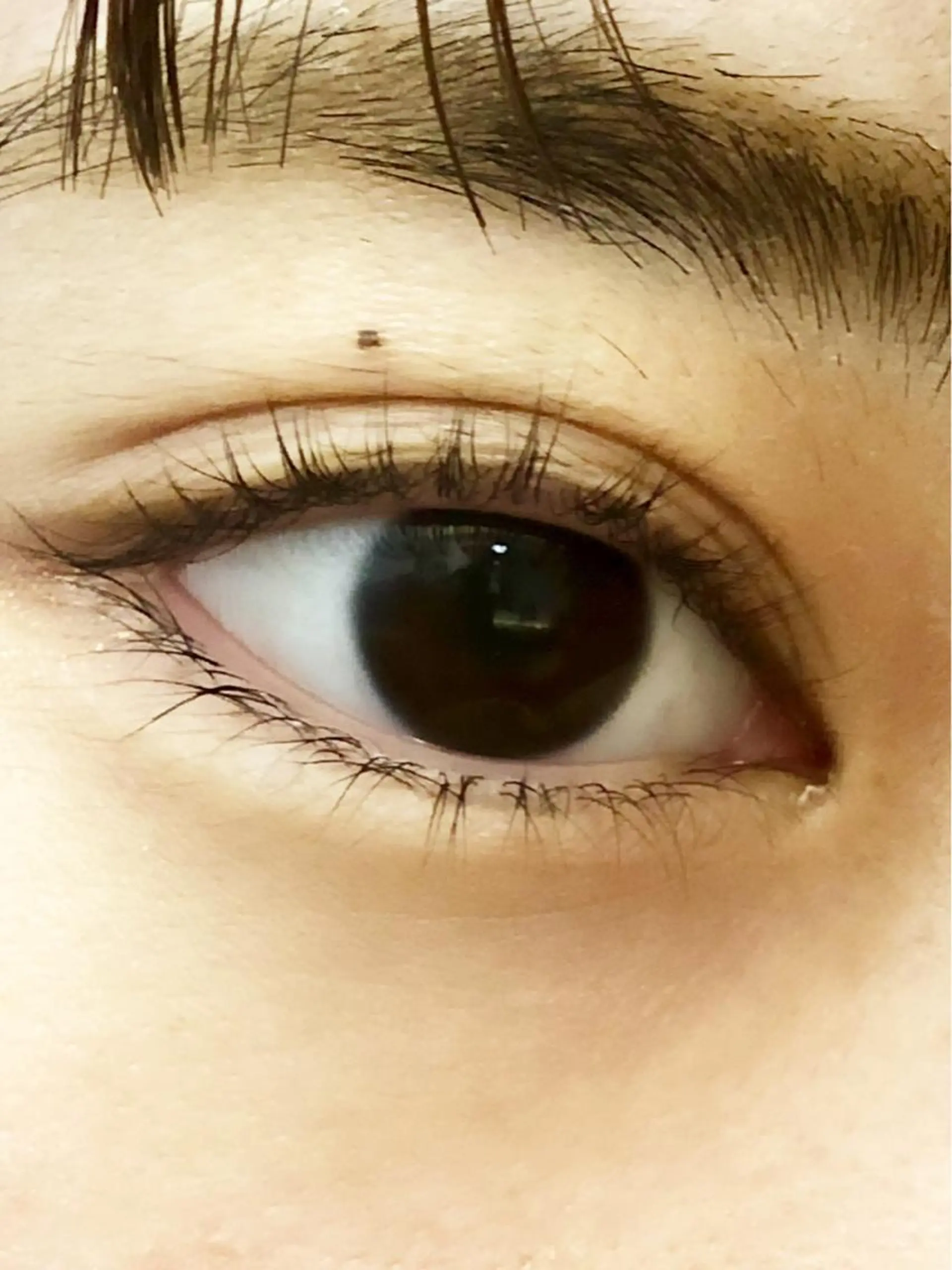 マツエク・マツパ Melissaヘアーandスパ所属・Melissa Melissaのマツエク・マツパデザイン