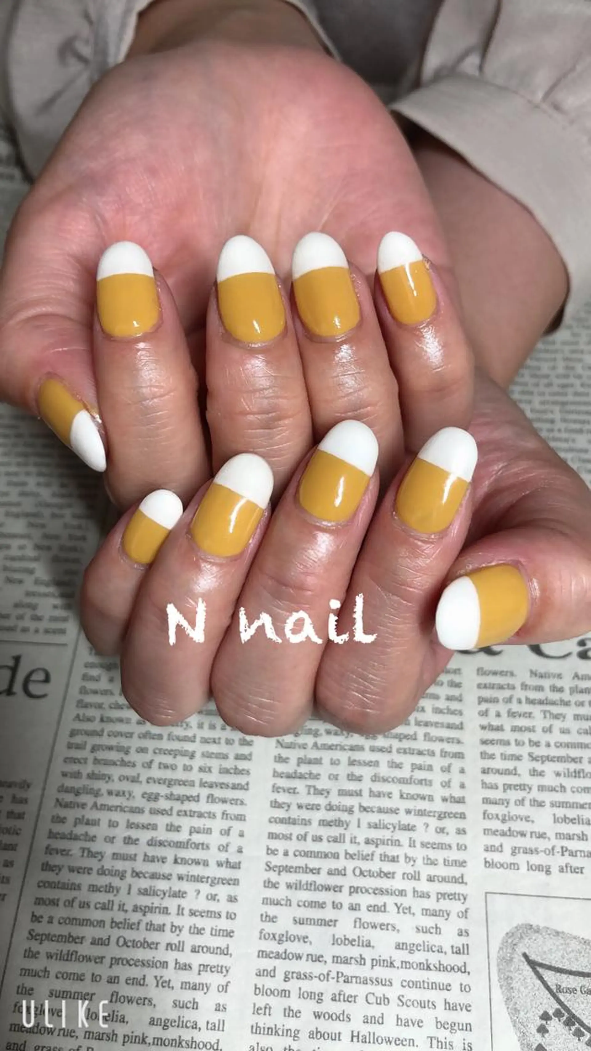 ネイル N nailのネイルデザイン