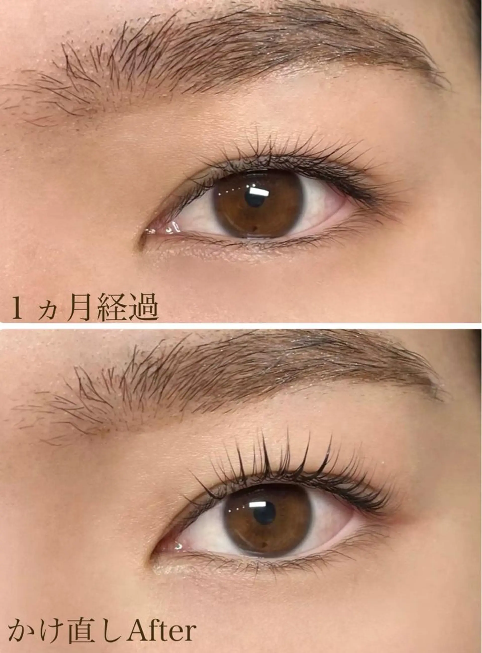 マツエク・マツパ ルタンリッシュ所属・Fukuda Sakiのマツエク・マツパデザイン