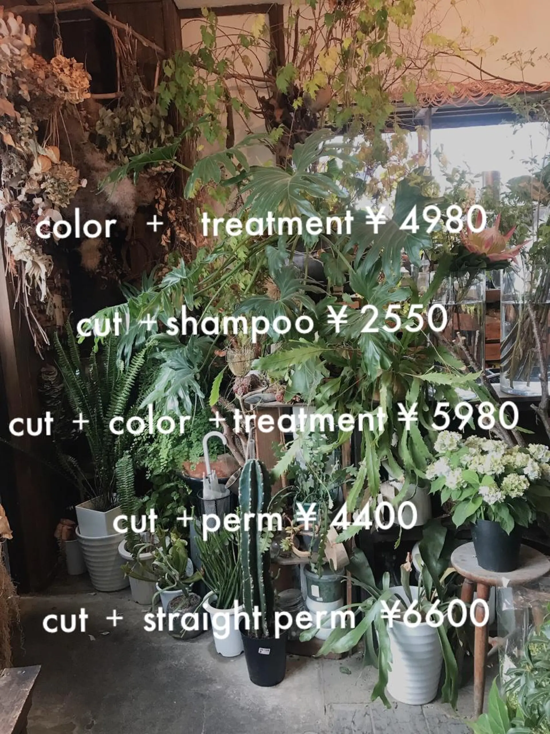 松本平太郎美容室大宮店所属・もりたみかこ 美容師お休み中のヘアスタイル