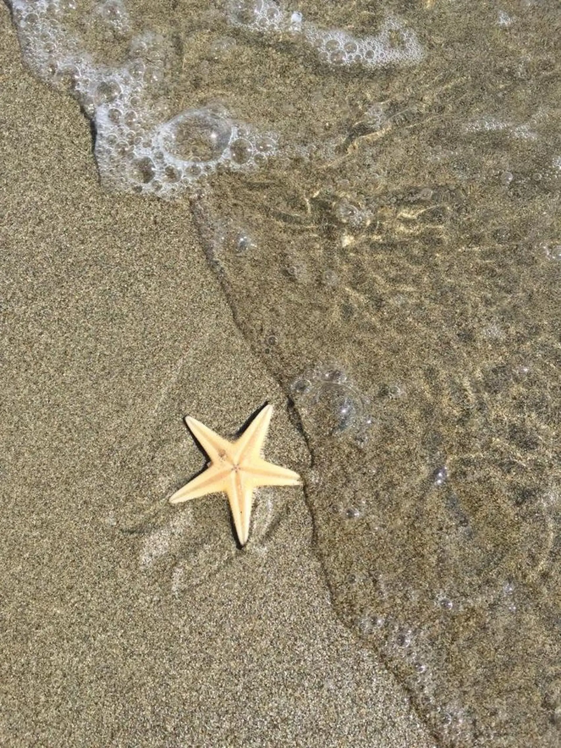 ∴Sanae. ∴ トータルビューティーのネイルデザイン