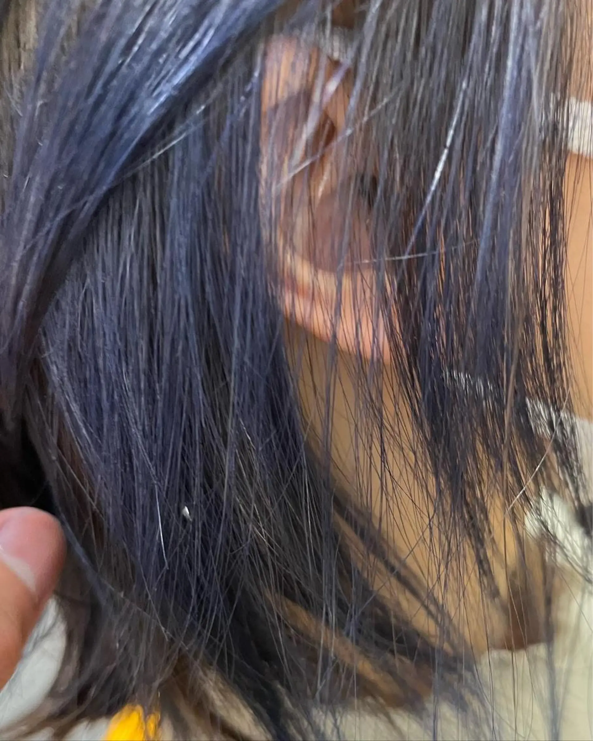 ミディアム カラー ブルーカラー eiji ／ waltのヘアスタイル