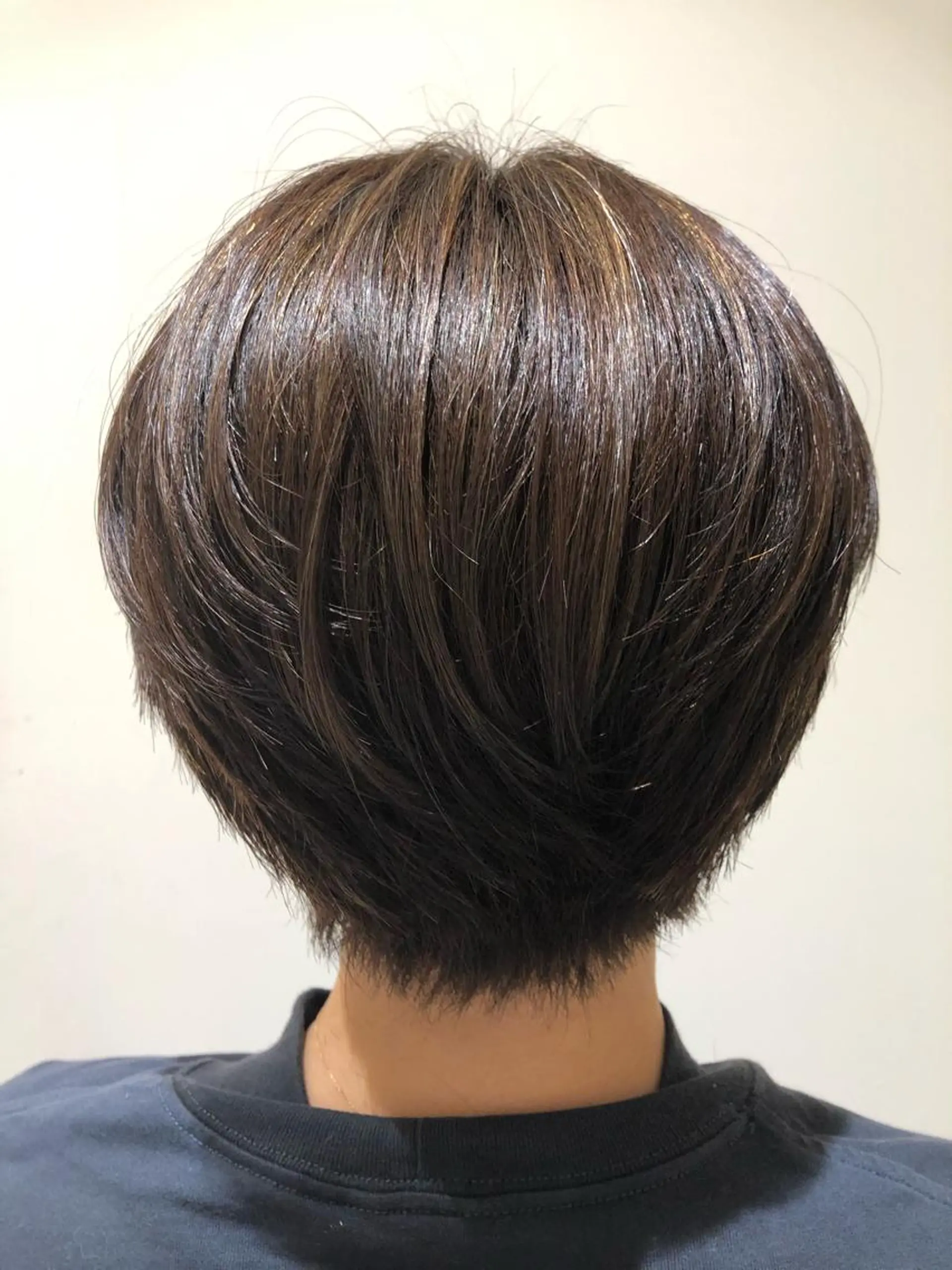 ショート カラー ハイライトカラー ハイライト ショートヘア 細めハイライト🩶 ボブ/レイヤーカットのヘアスタイル