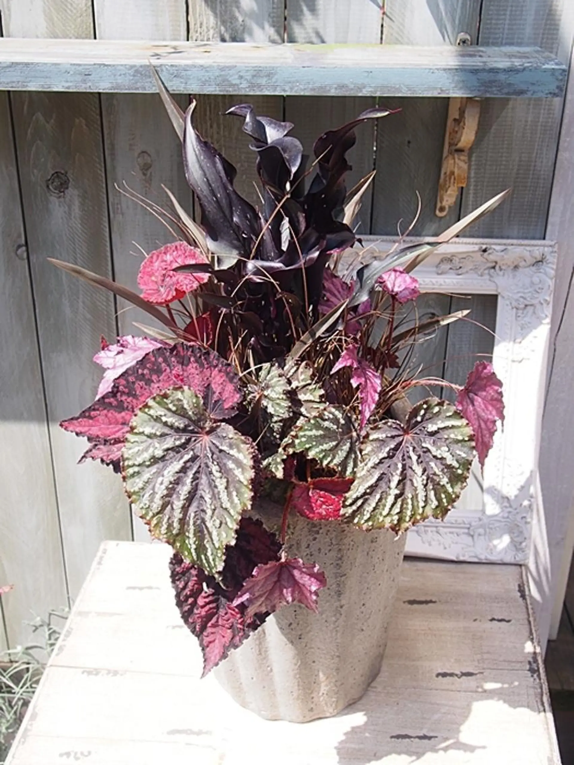 Fes Bonito❤所属・kawano shieriのエステ・リラクイメージ