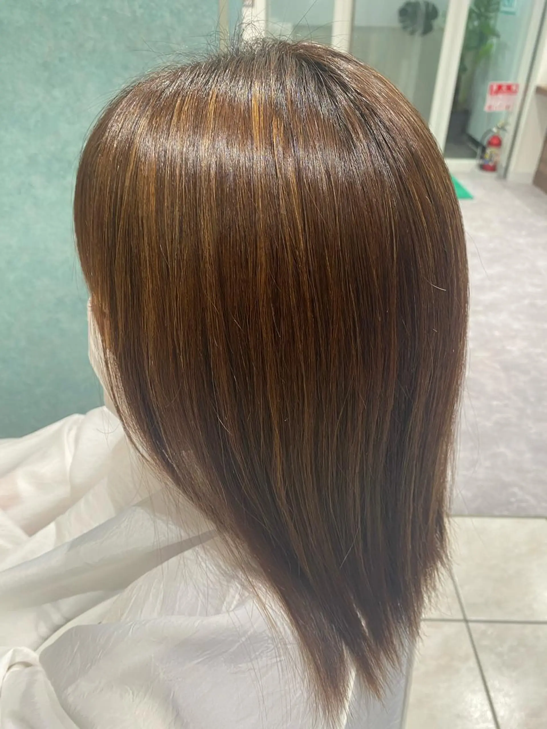 ミディアム カラー ハイライトカラー 3Dハイライト ハイライト 【縮毛矯正特化】 kyokaのヘアスタイル