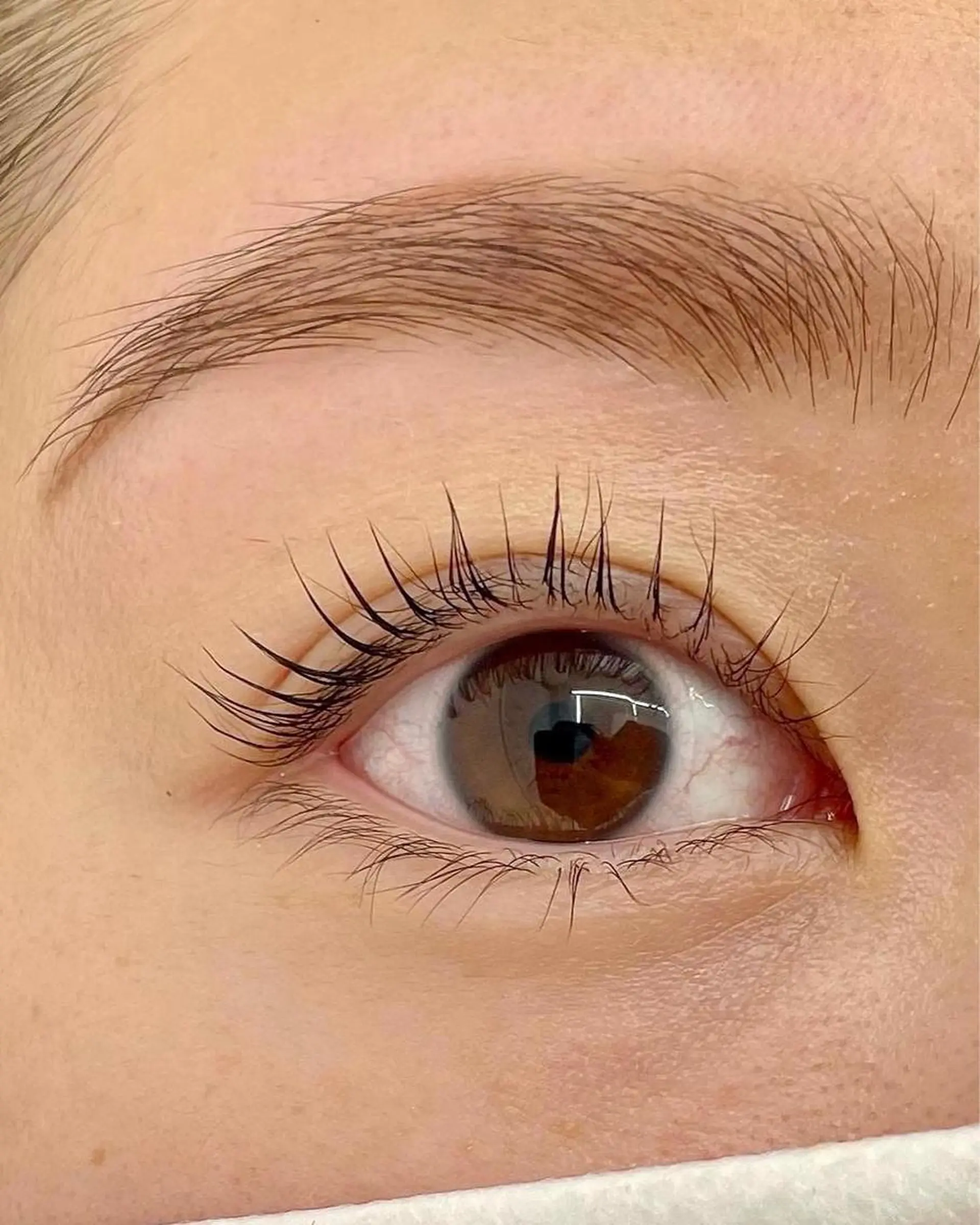 マツエク・マツパ アイブロウ 一重×まつ毛パーマ 鍵山 千秋のヘアスタイル