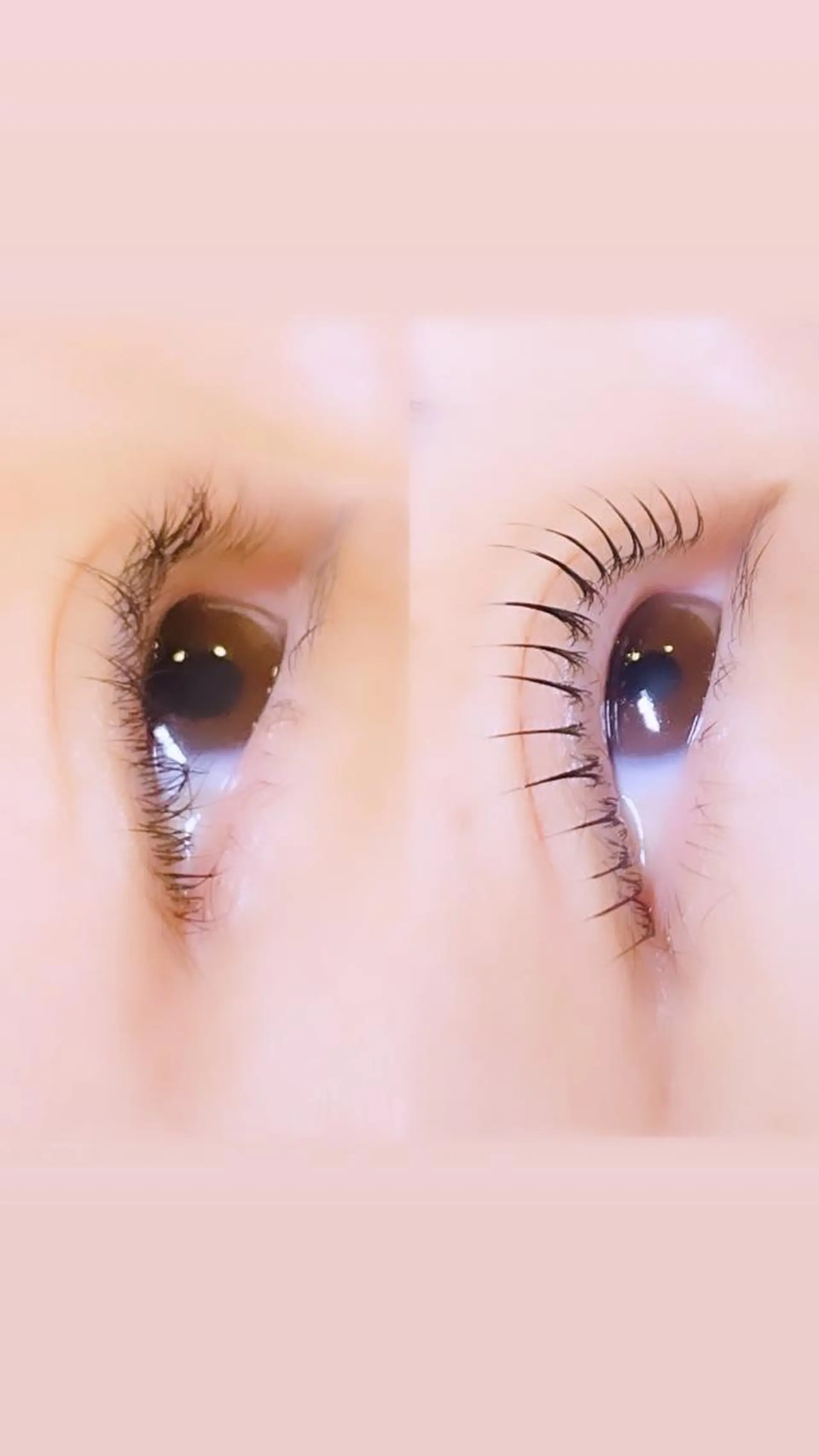 マツエク・マツパ ケラチンラッシュリフト 一重×まつ毛パーマ ロニセラ アイラッシュのマツエク・マツパデザイン