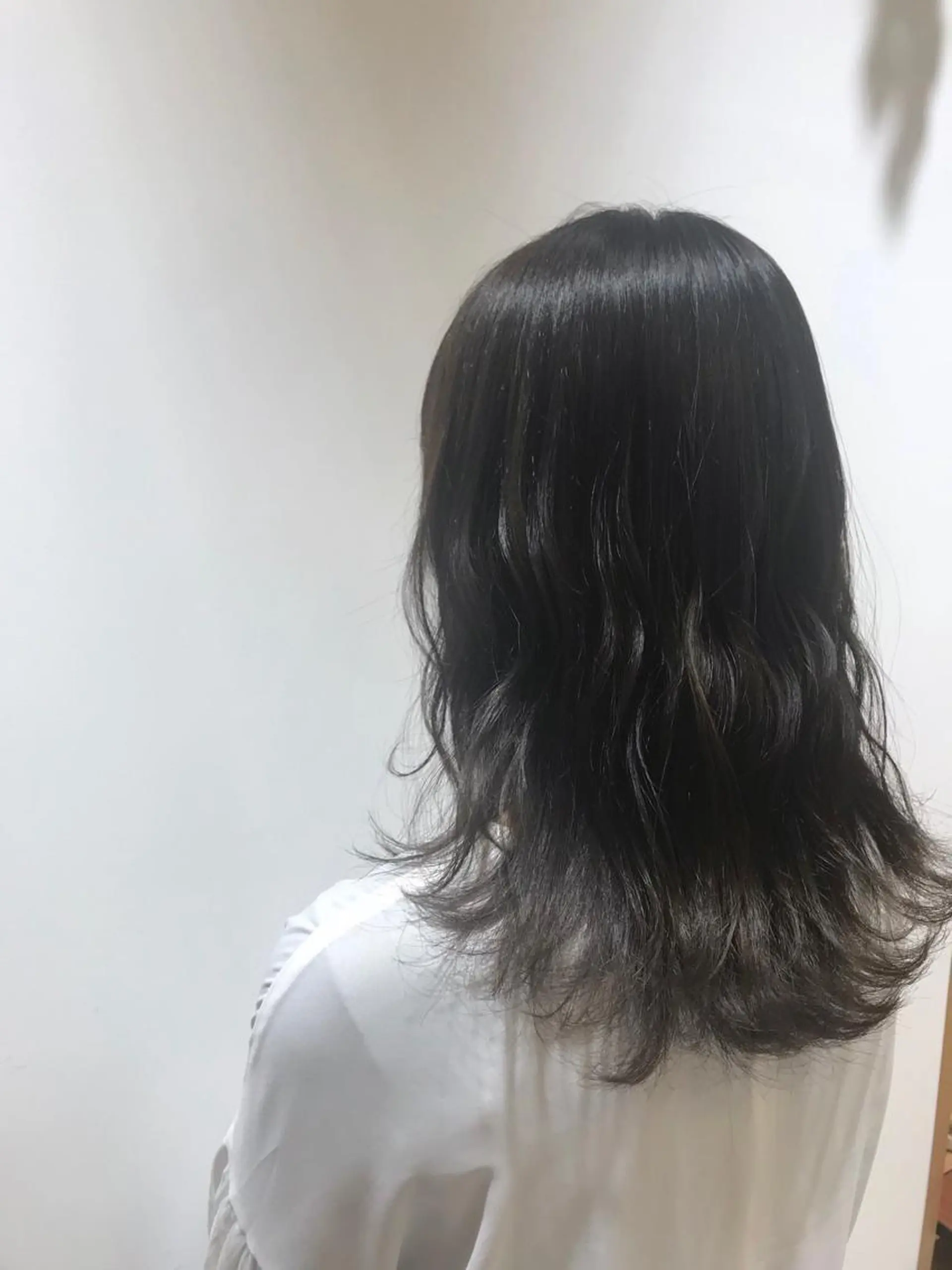 ミディアム カラー ヘアカラー 🐺ウルフ/レイヤー 似合わせ‎🤍沙羅のヘアスタイル