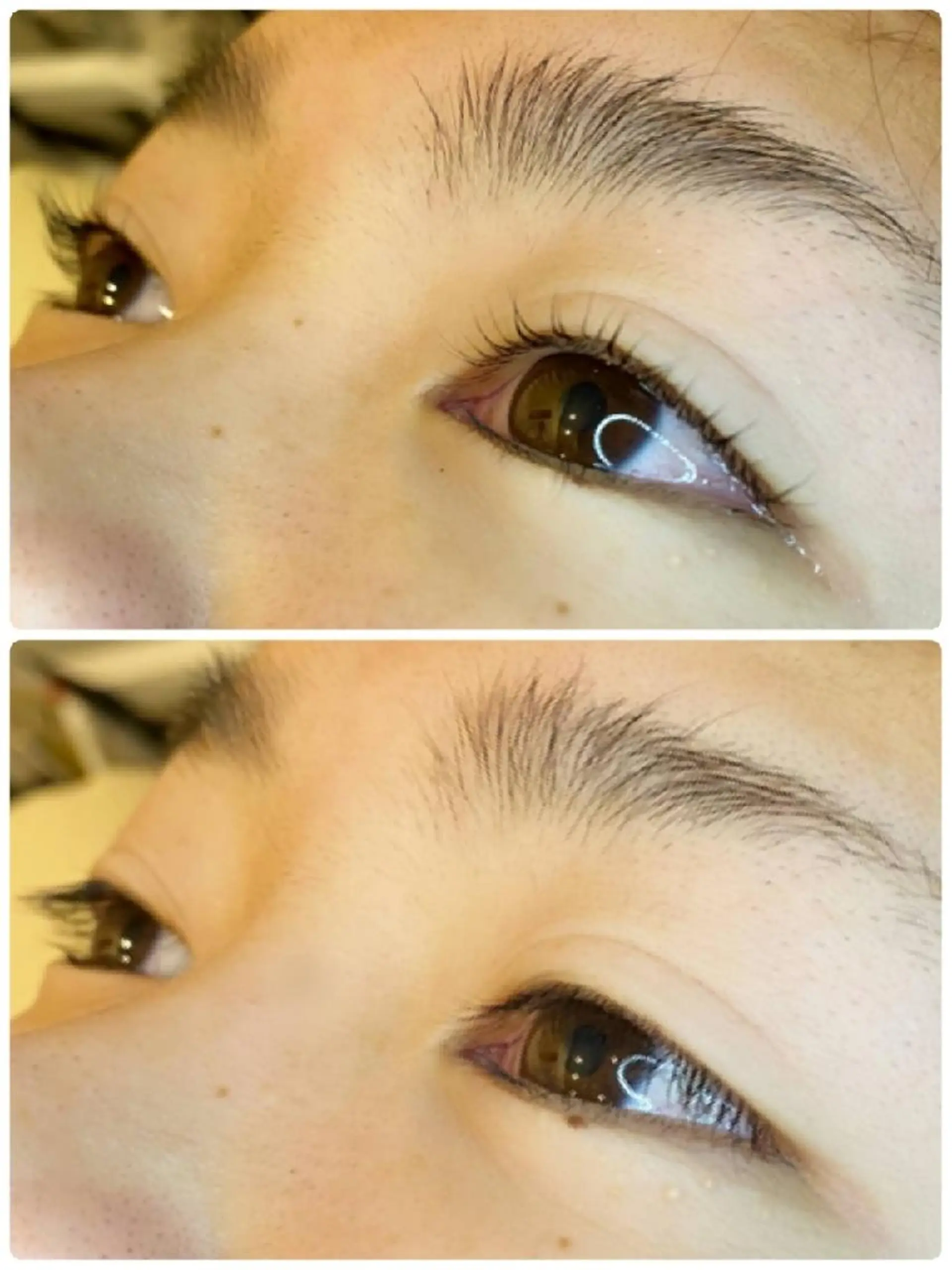 マツエク・マツパ 韓国アイドルまつげ ❤️LUSHLASHのマツエク・マツパデザイン