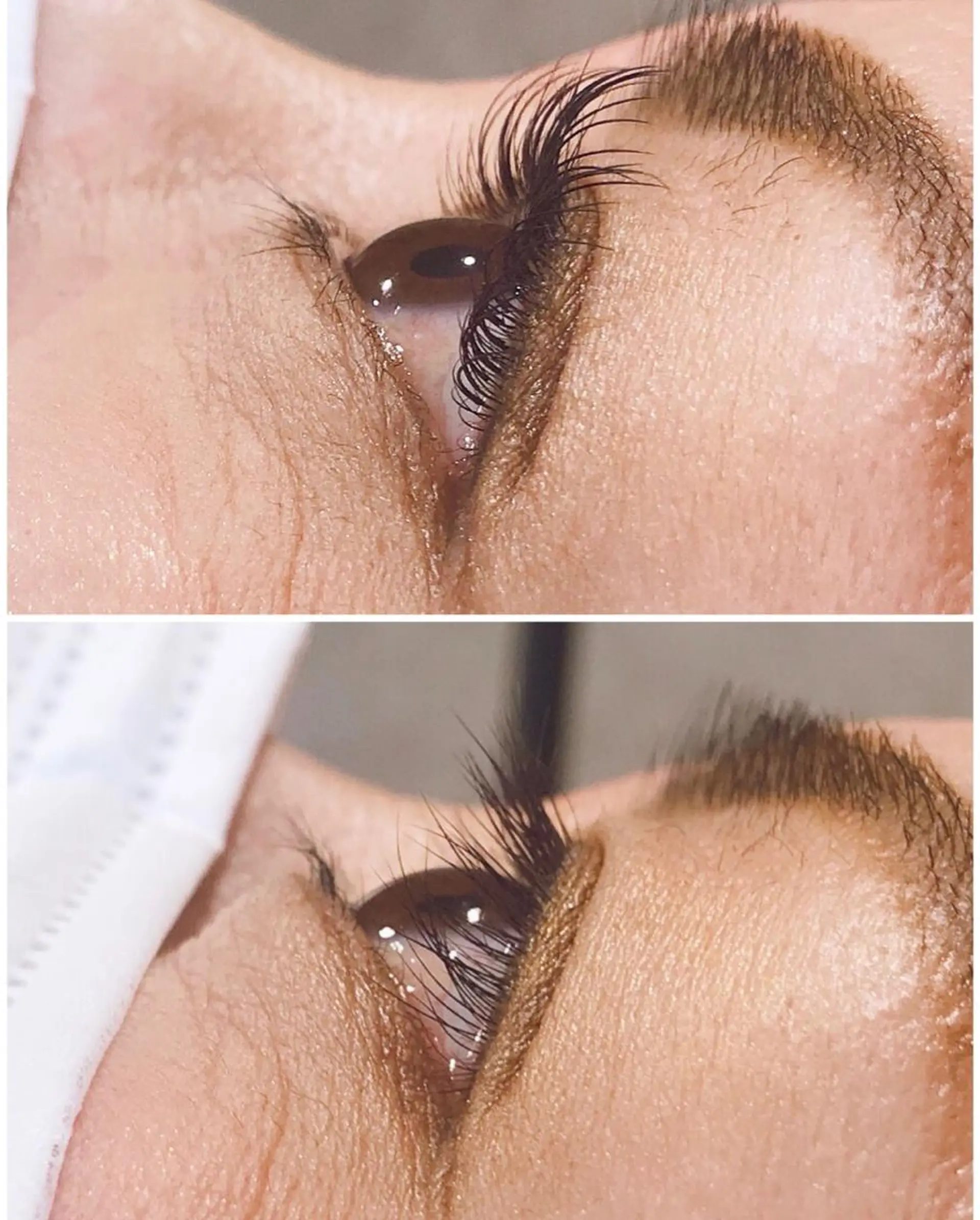 マツエク・マツパ アップワードラッシュ マツエク eyelash salon Chérie所属・Chérie Yurieのマツエク・マツパデザイン