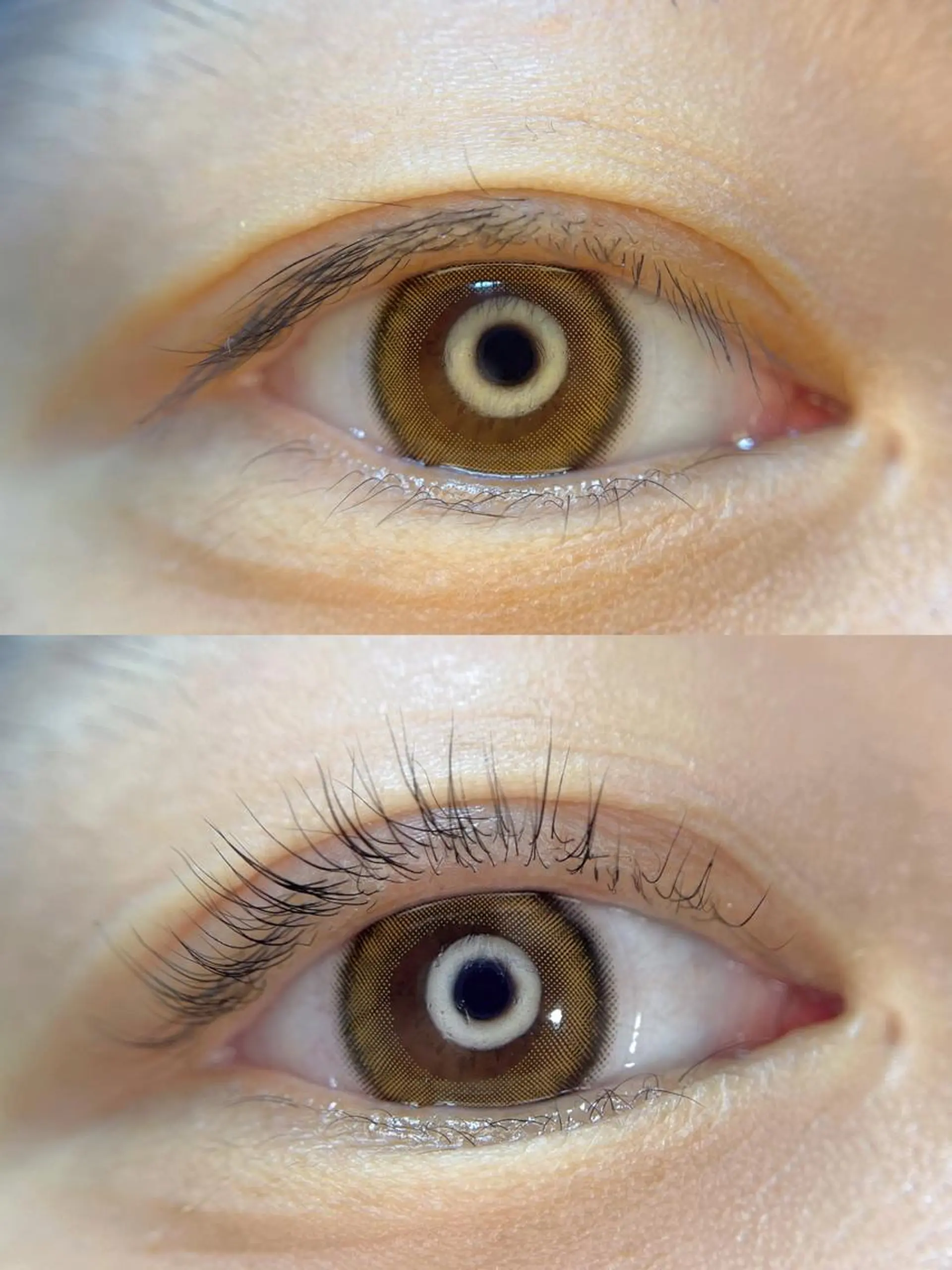 パーマ マツエク・マツパ Eyelash foisalonのマツエク・マツパデザイン