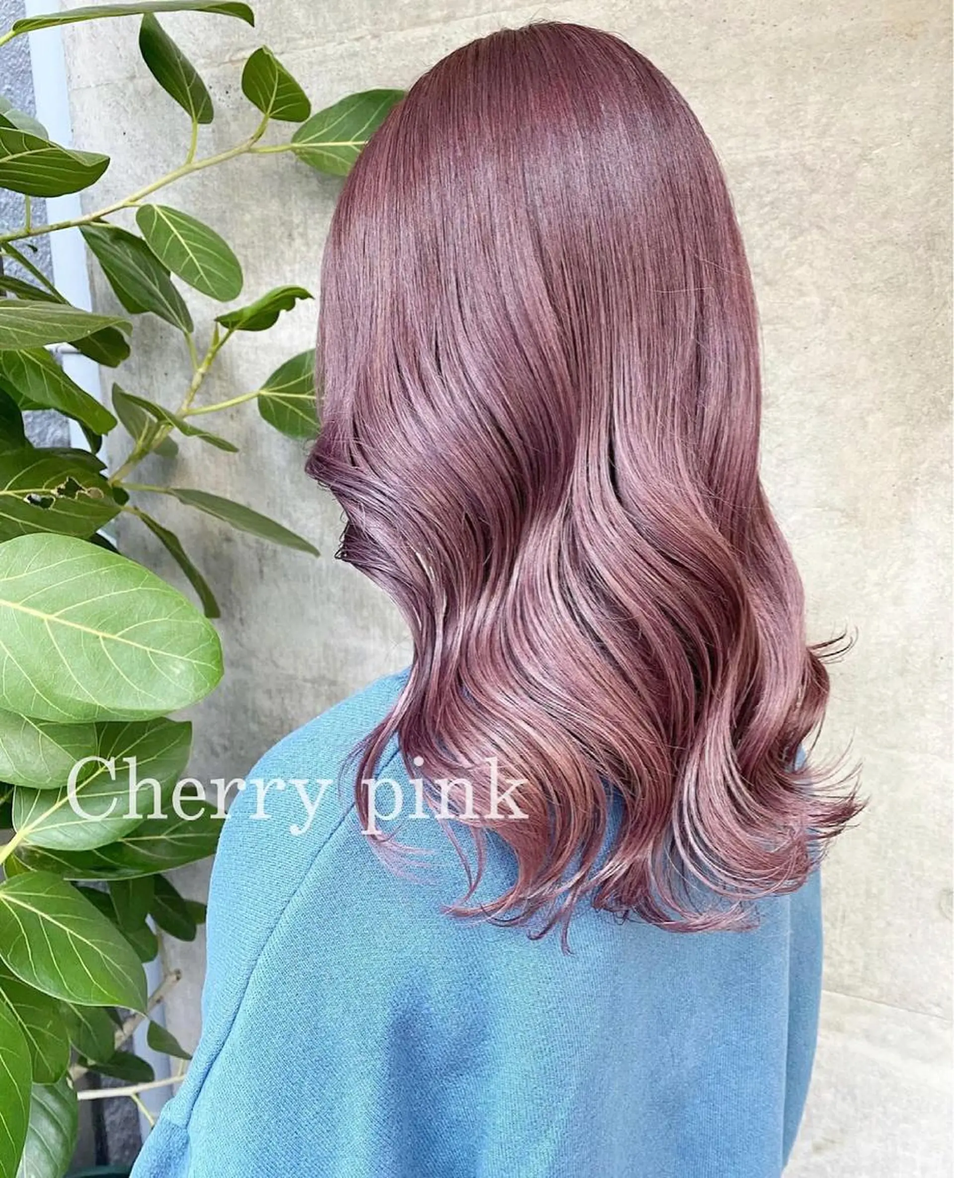 セミロング カラー clomus所属・YUKA艶髪 🌸寛ぎ部屋のヘアスタイル