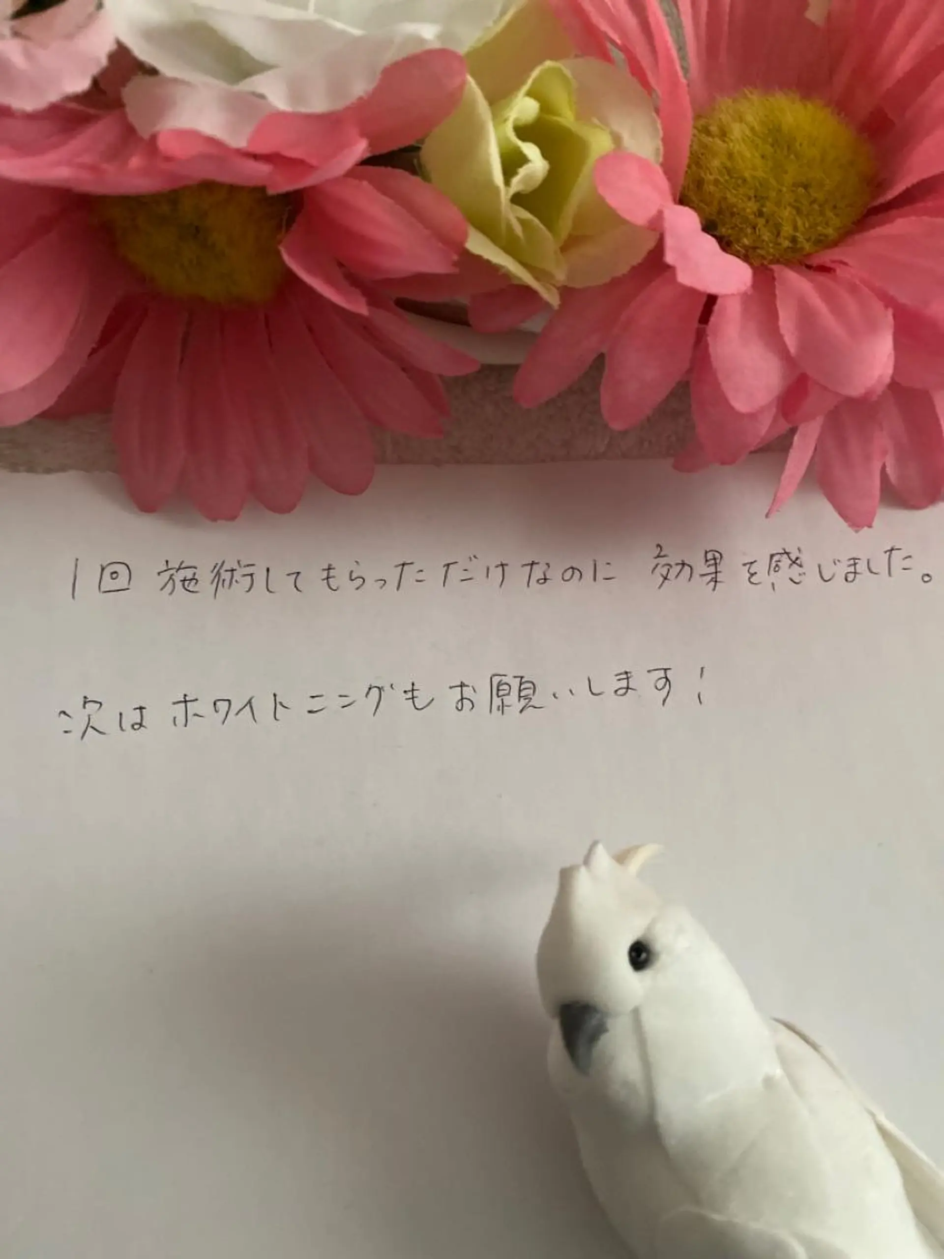 R E O T I A R A（レオティアラ）所属・高屋 昌子のその他イメージ