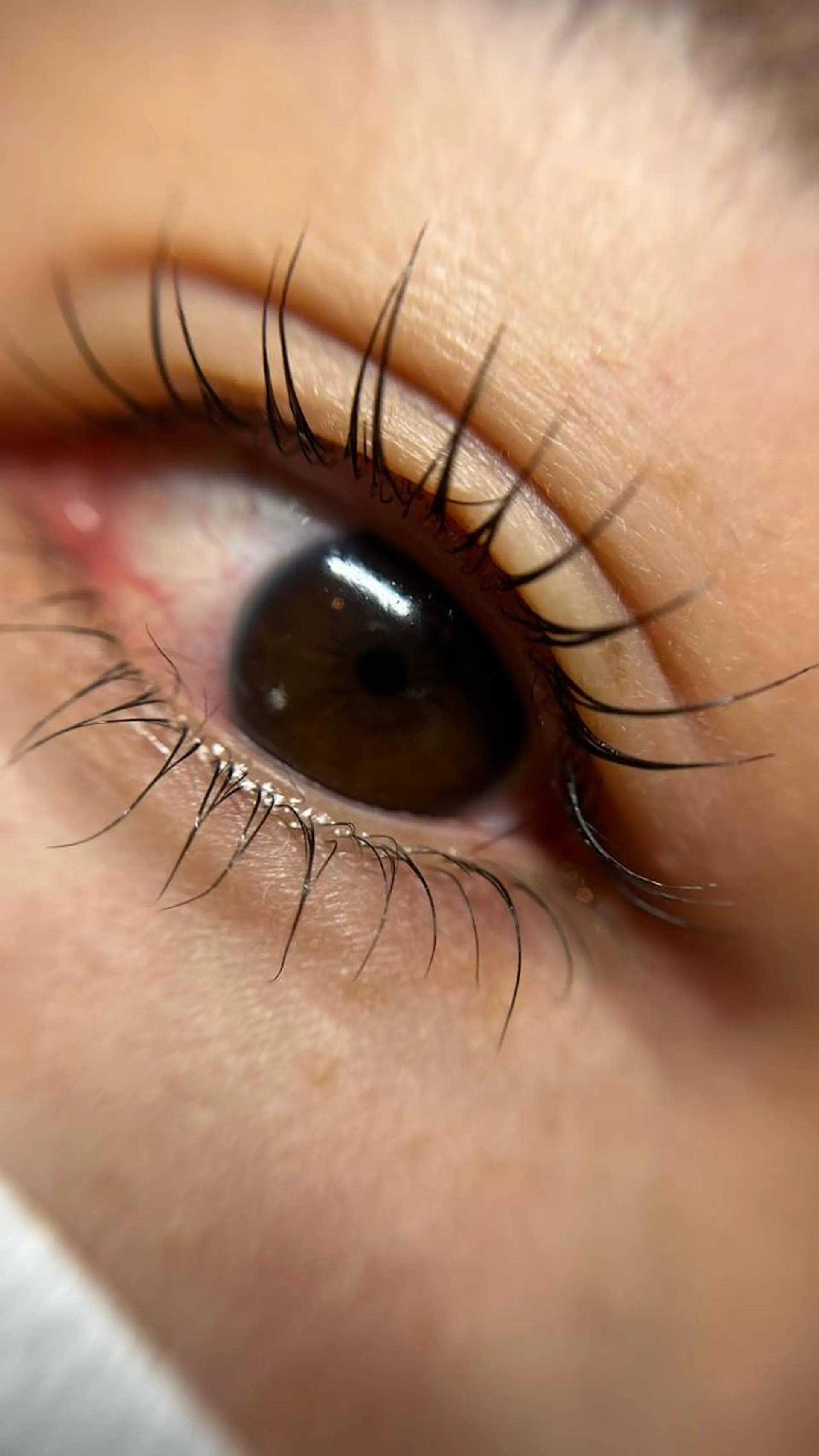 マツエク・マツパ komatsu eyelash恵比寿のマツエク・マツパデザイン