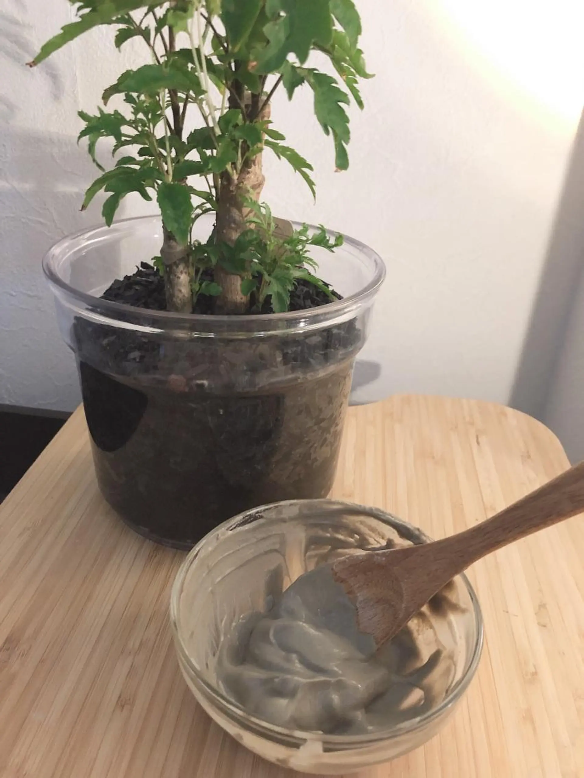 大西 知世のエステ・リラクイメージ