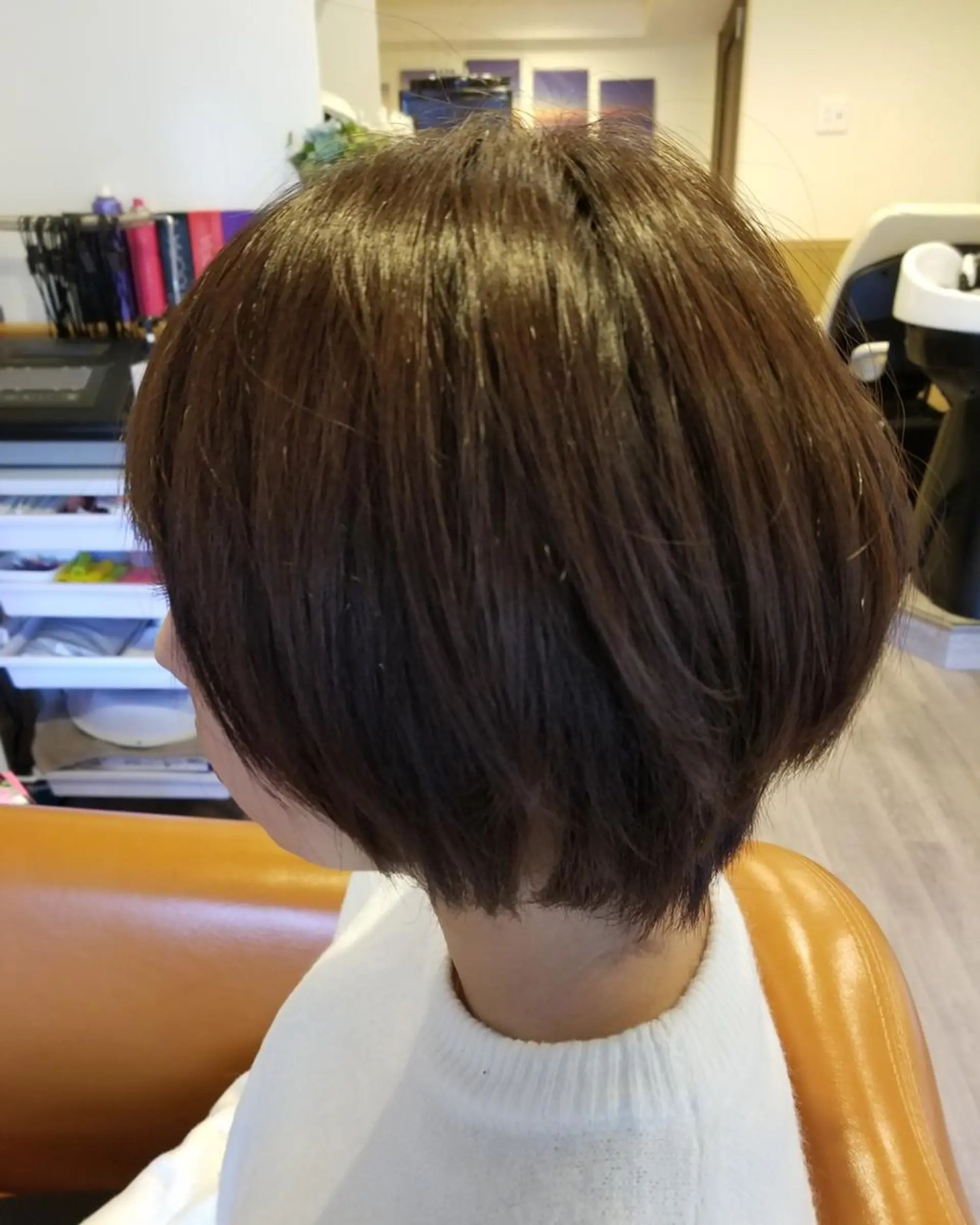 ショート カラー アディクシーカラー バレイヤージュ イルミナカラー 外国人風カラー レイヤーカット spa hair  ark 富井直美のヘアスタイル