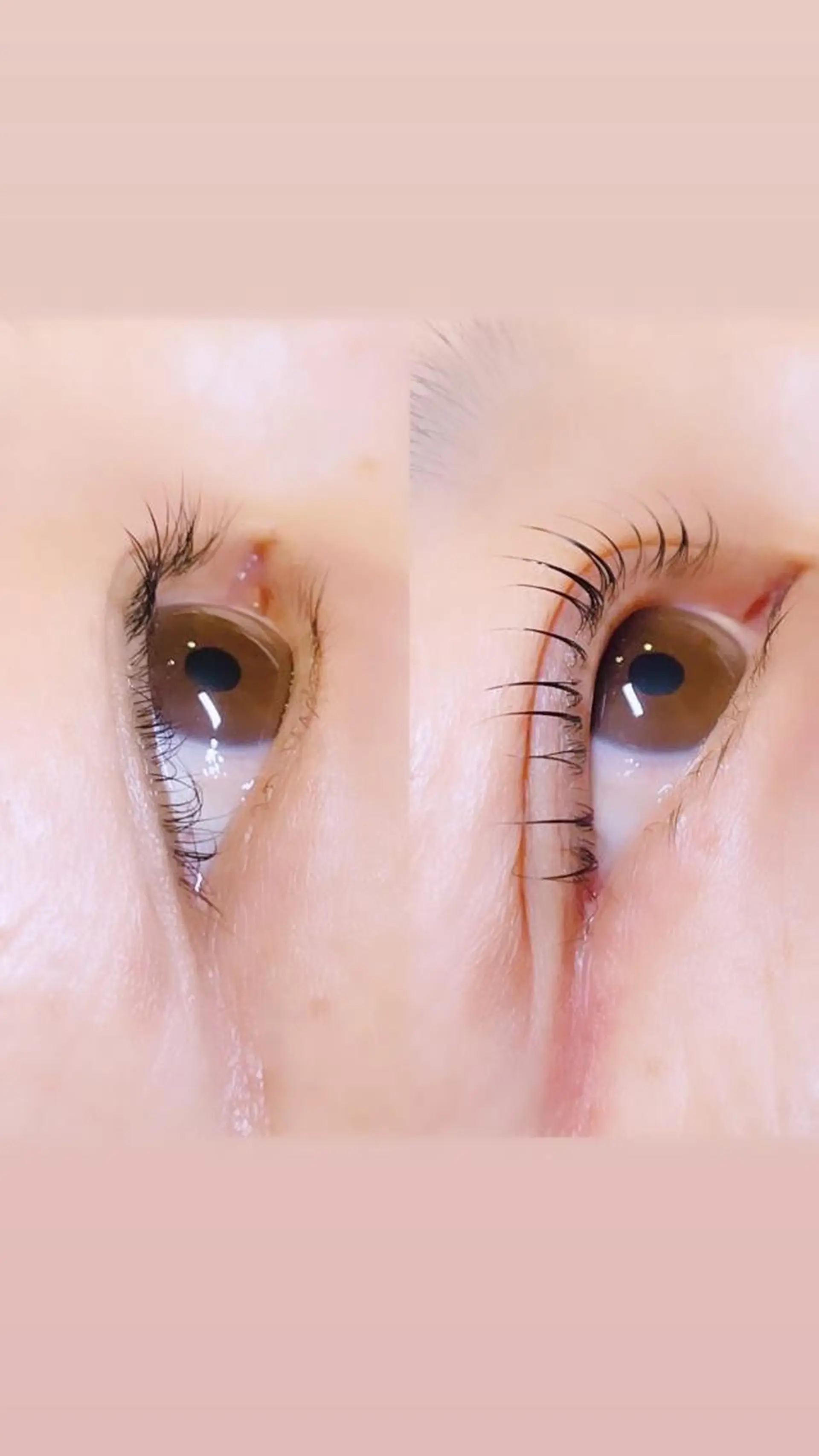 マツエク・マツパ ロニセラ アイラッシュのマツエク・マツパデザイン