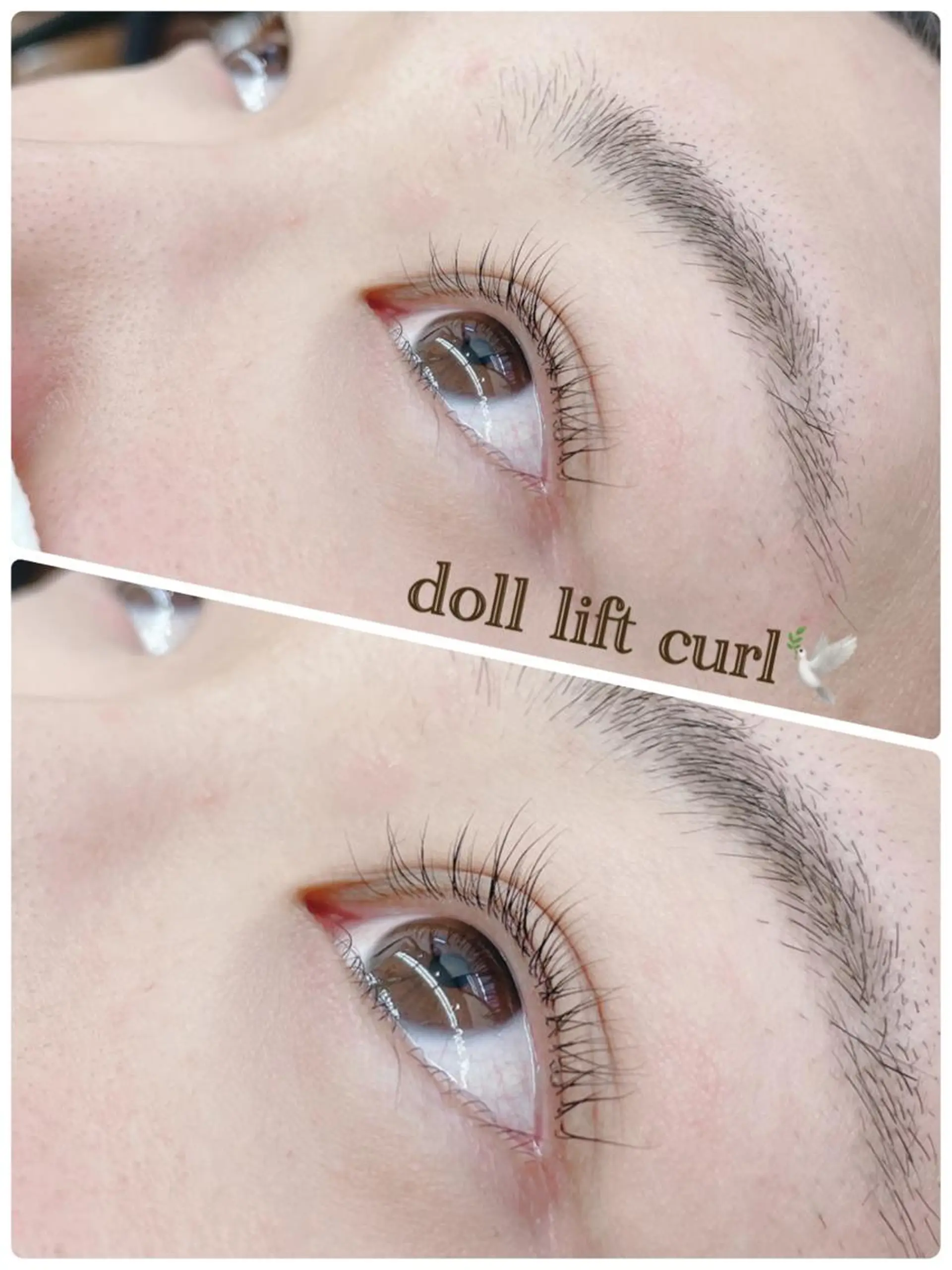 マツエク・マツパ パリジェンヌラッシュリフト WE RULE 札幌店 【ウィールール 札幌店】所属・✨️大人ショート 髙橋朋花のヘアスタイル