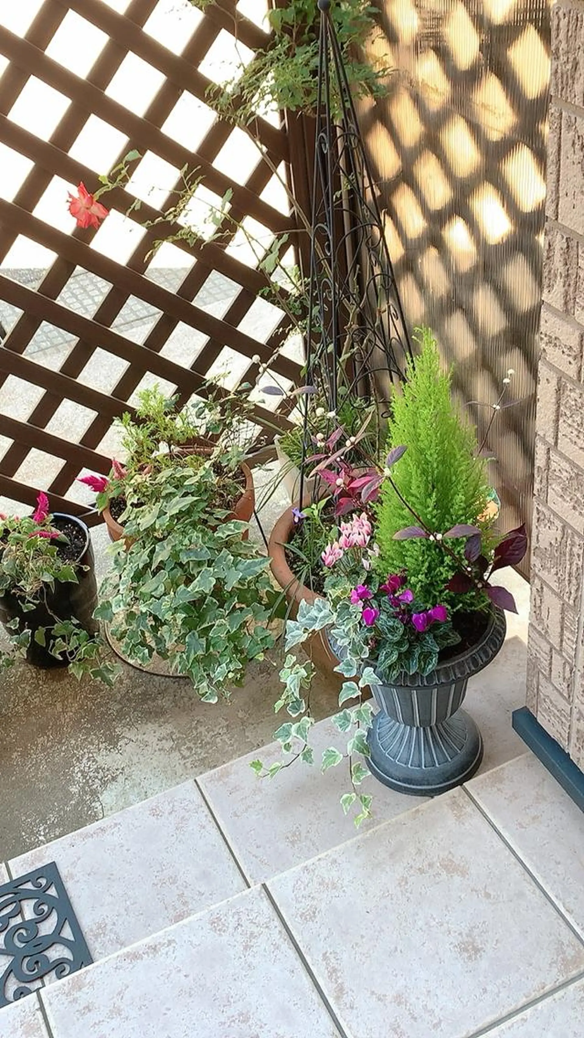 金沢金箔糸脱毛®︎糸美しや〖𝑖𝑡𝑜𝑢𝑡𝑠𝑢𝑘𝑢𝑠ℎ𝑖𝑦𝑎〗所属・Nakamura Atsukoの眉毛・アイブロウイメージ