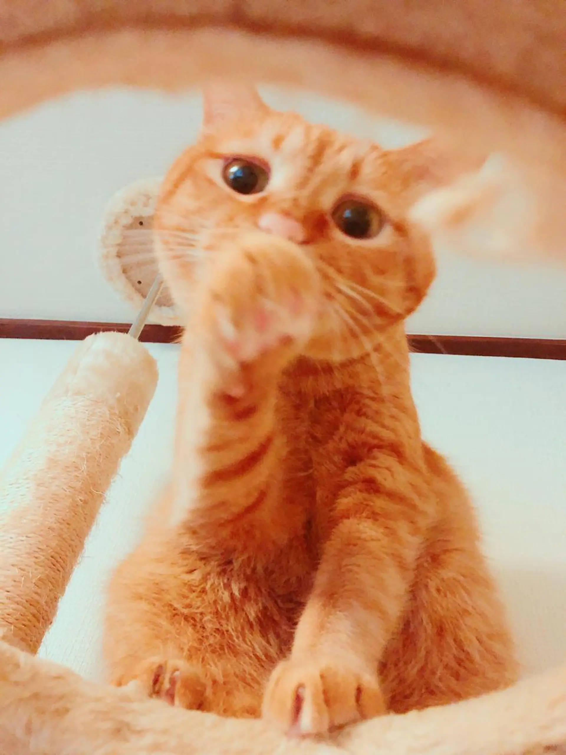 kiki nail 二子玉川のネイルデザイン