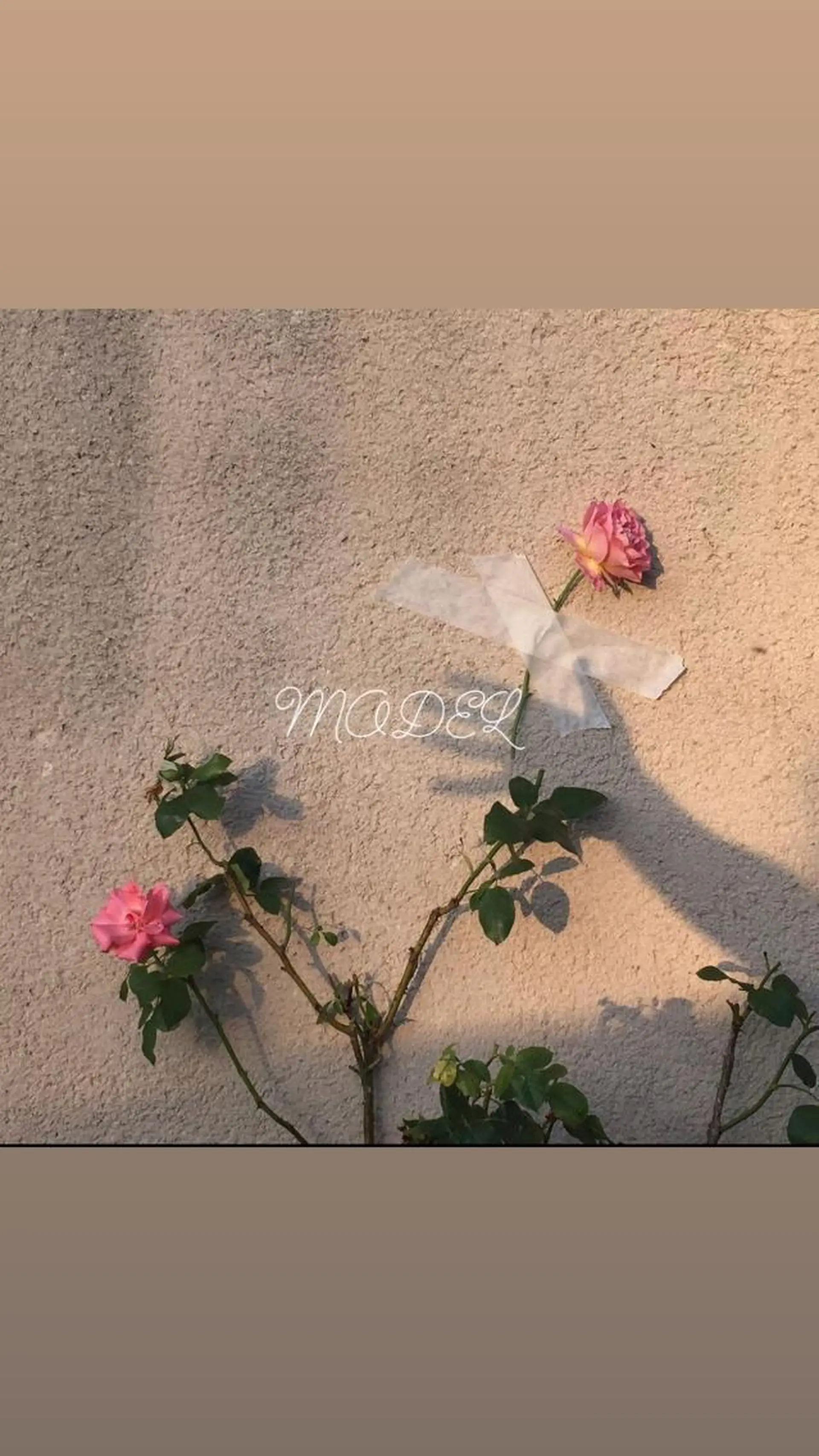 マツエク・マツパ . mikuのマツエク・マツパデザイン