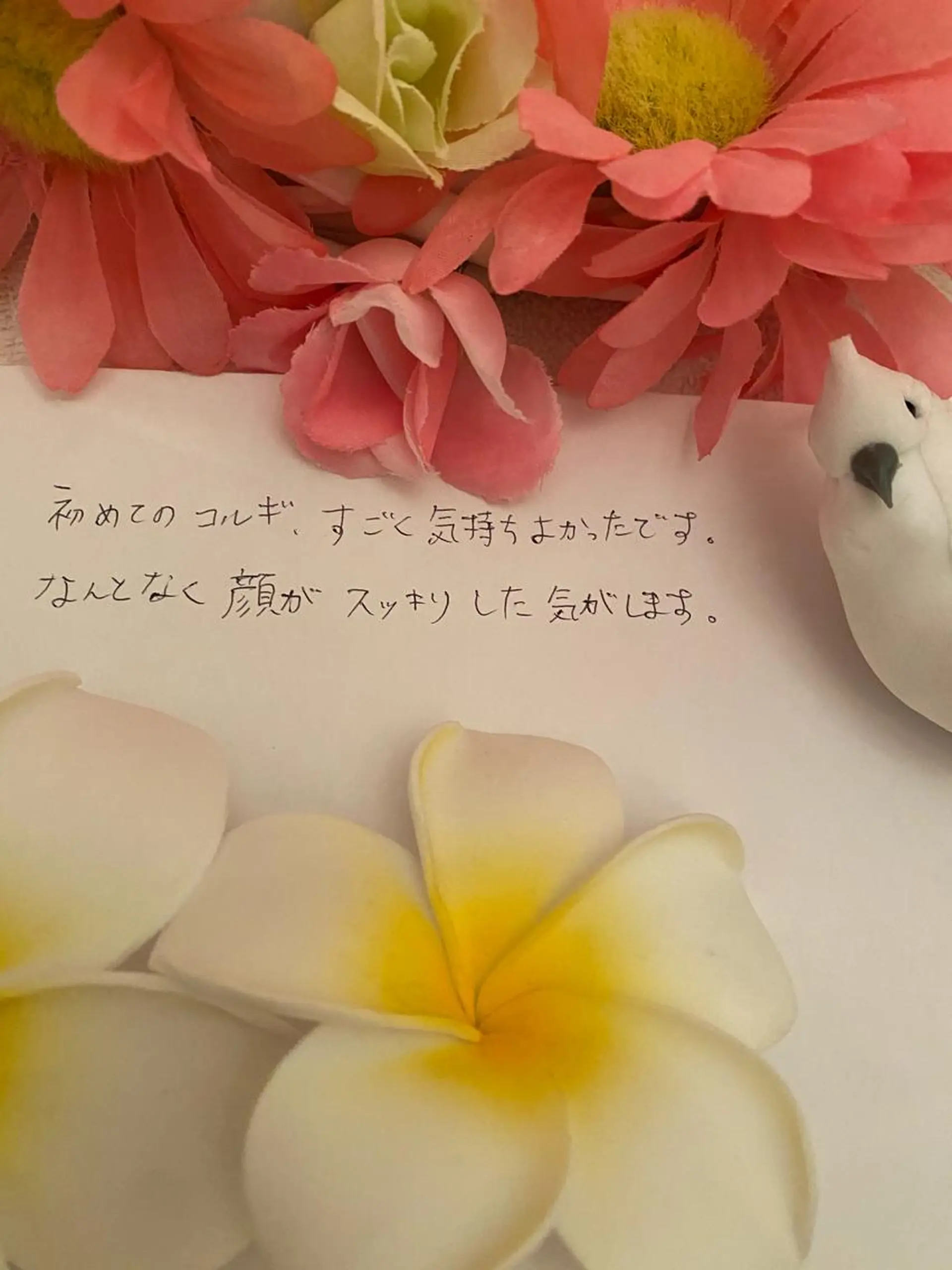 R E O T I A R A（レオティアラ）所属・高屋 昌子のその他イメージ