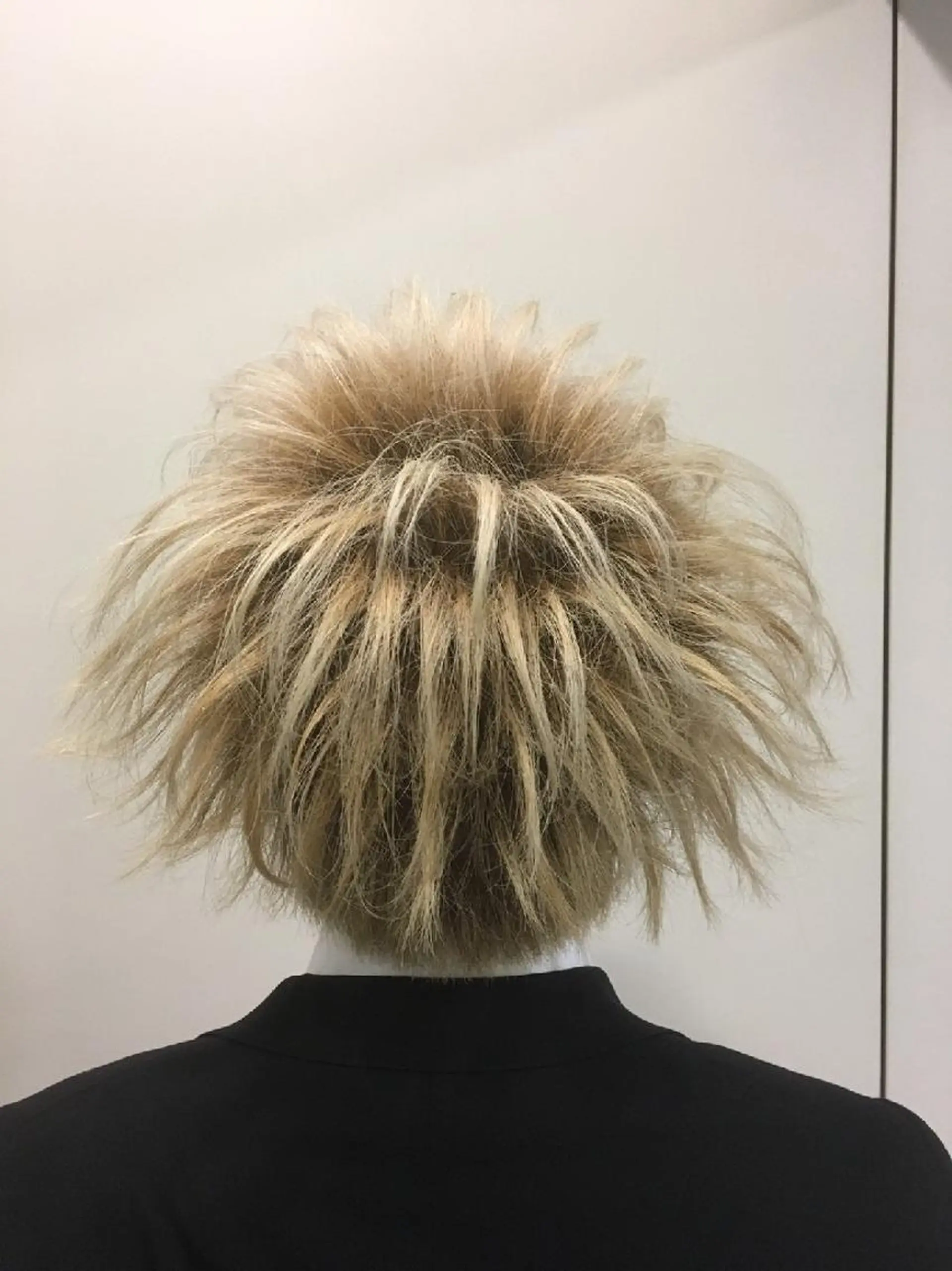 ショート ヘアアレンジ メンズ 🐺デザインウルフ / 一ノ瀬 凌🐺のヘアスタイル