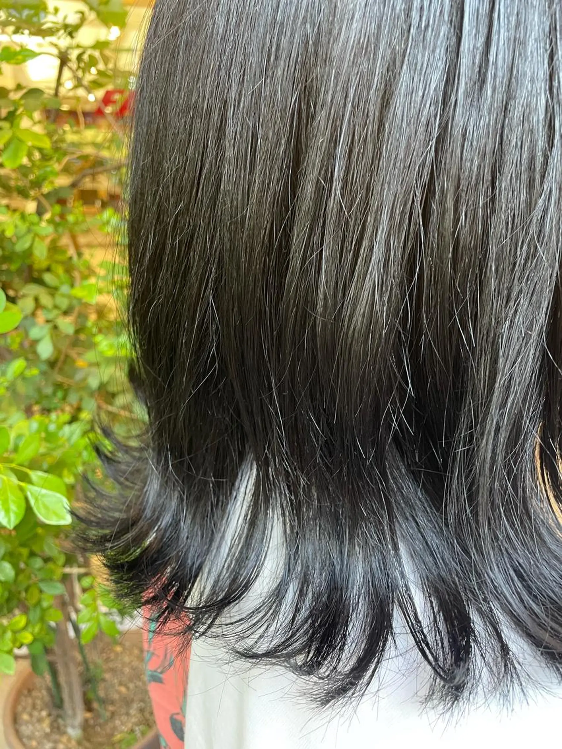 ミディアム カラー カット ヘアカラー 縮毛矯正 トリートメント 艶カラー🌙縮毛矯正 /ボブ【Reina】のヘアスタイル