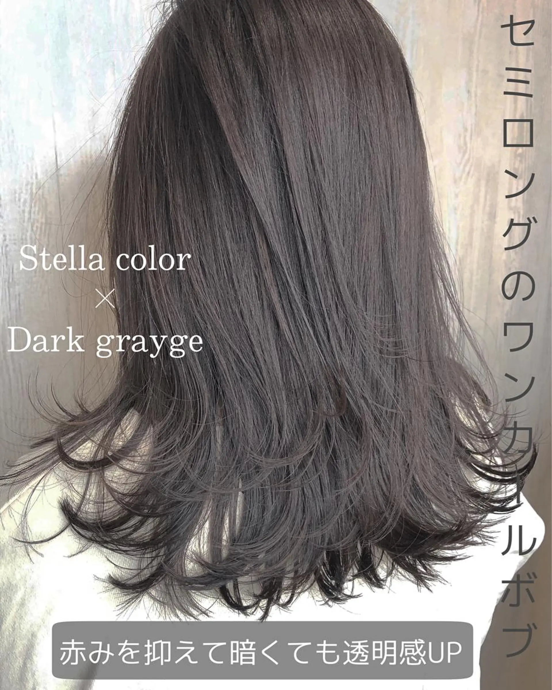 セミロング カラー カット ヘアカラー トリートメント 河合秀明/ショート /ボブ/レイヤーのヘアスタイル