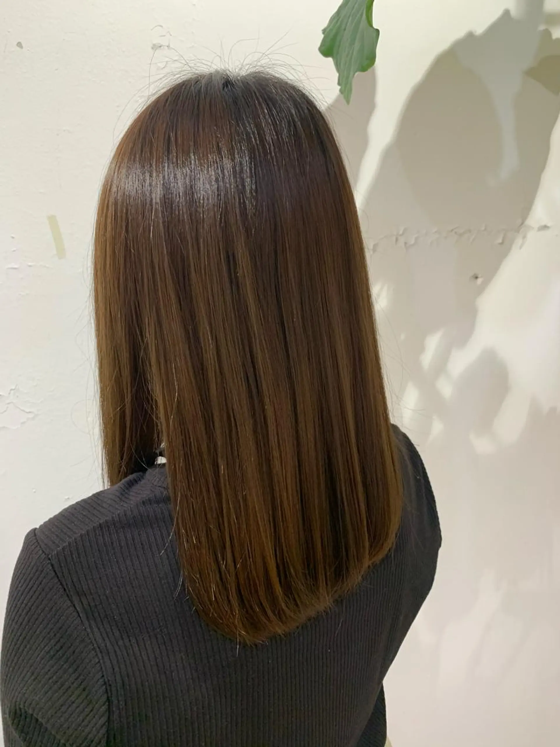 カラー 山本 舜也のヘアスタイル