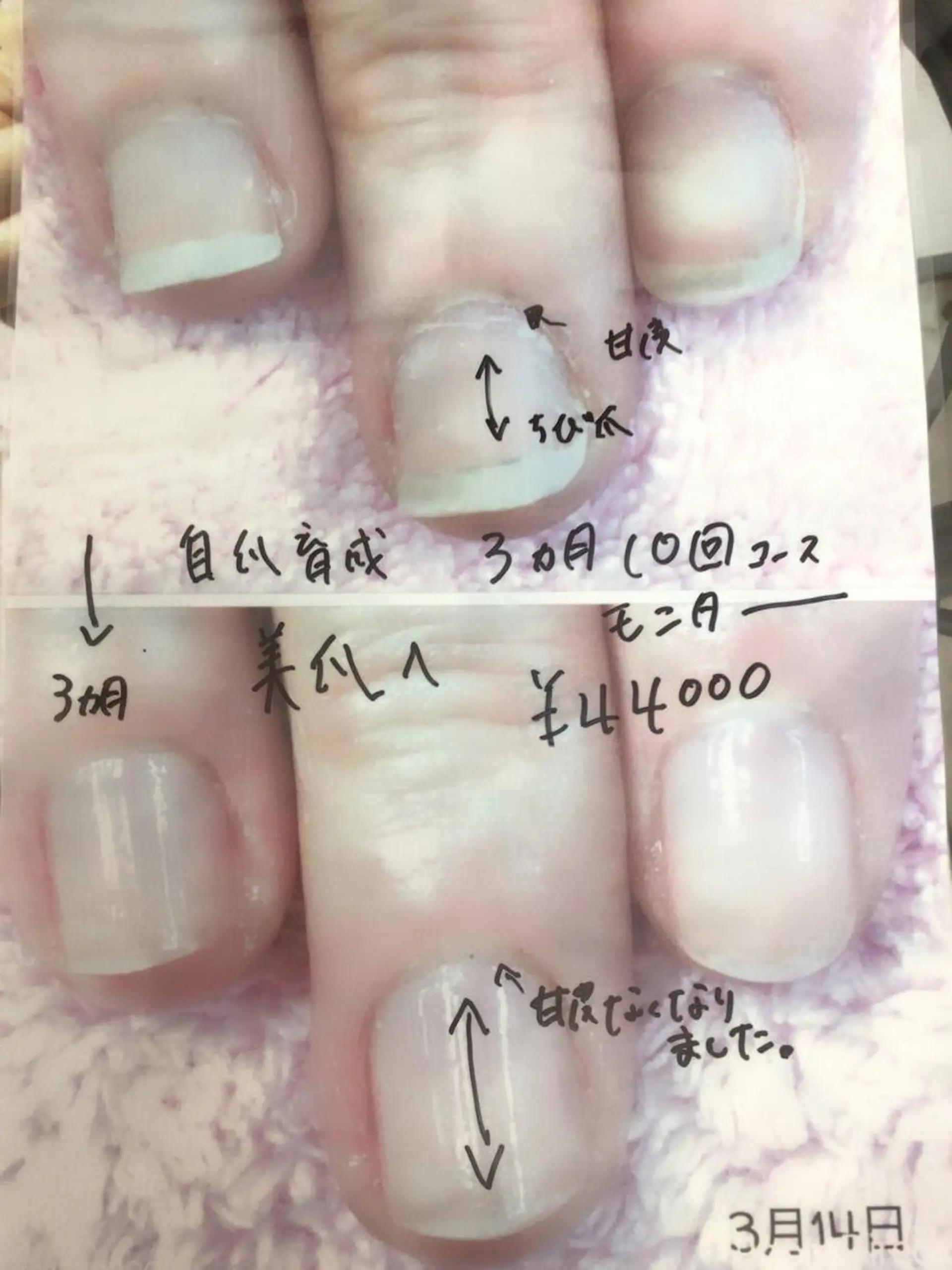 ネイル e.nail所属・和賀井 恵理のネイルデザイン