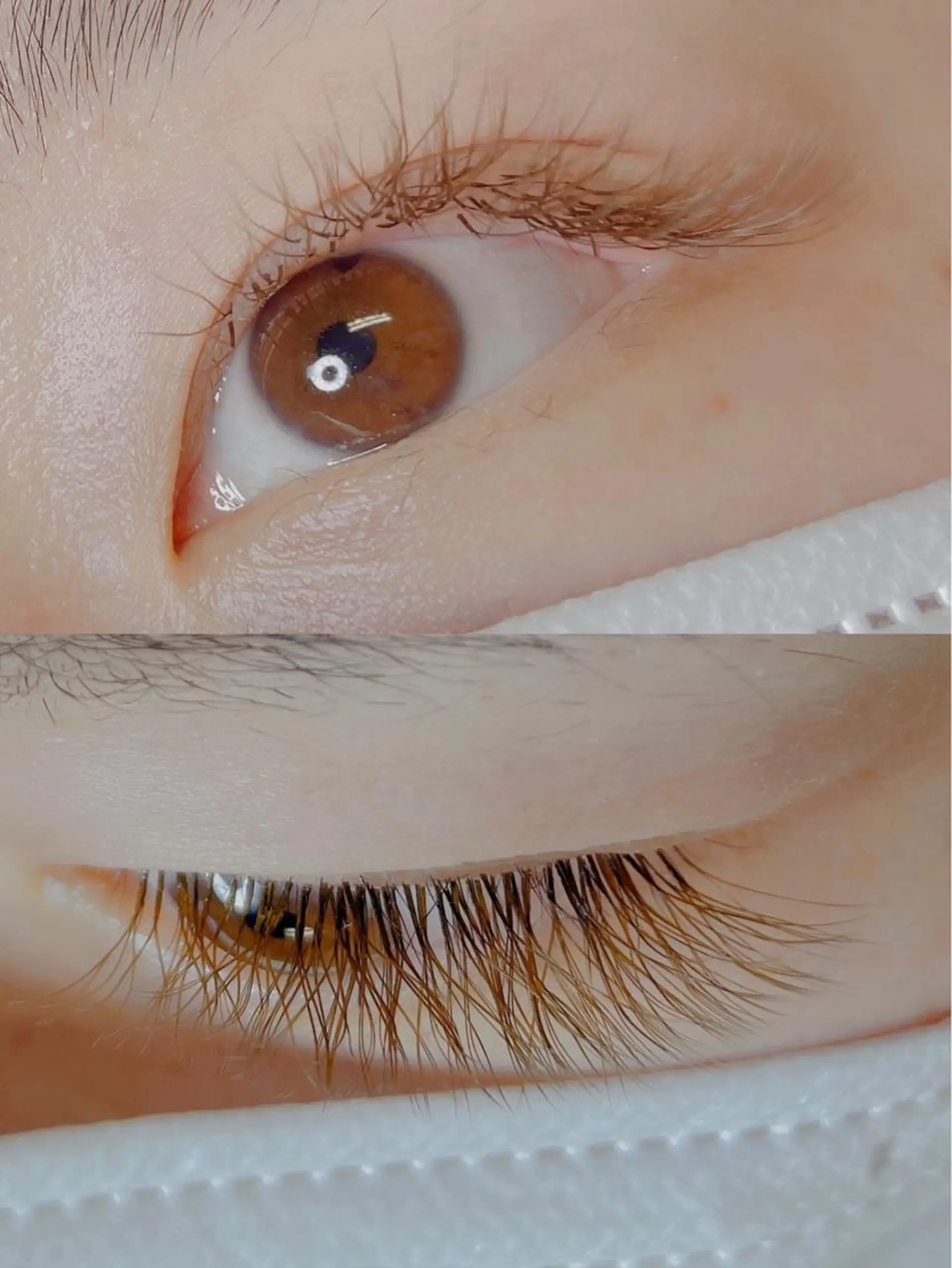 マツエク・マツパ カラーマツエク kico.coサロン 池袋ニ丁目店のマツエク・マツパデザイン