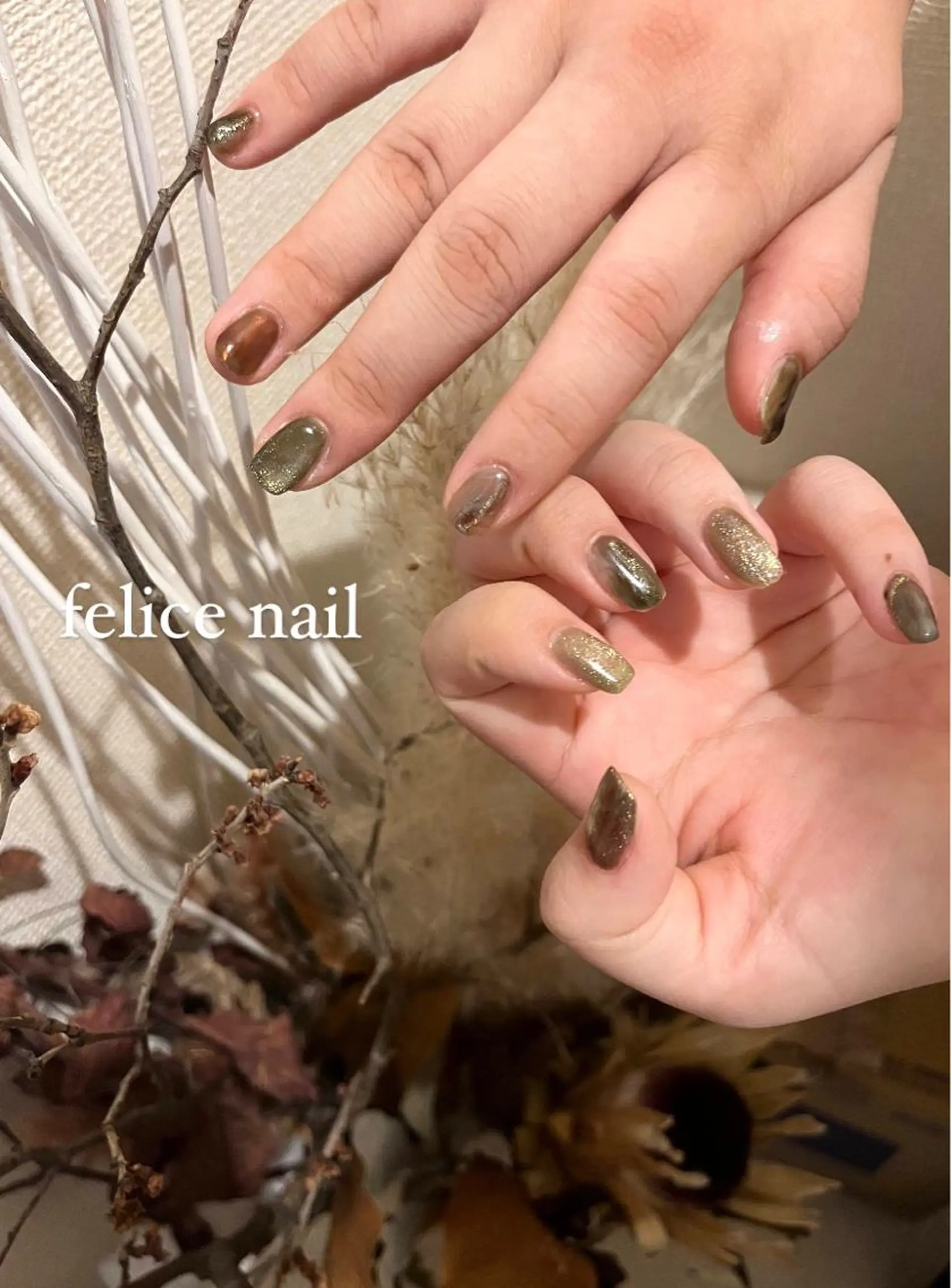 ネイル マグネットネイル ニュアンスネイル felice nailのネイルデザイン