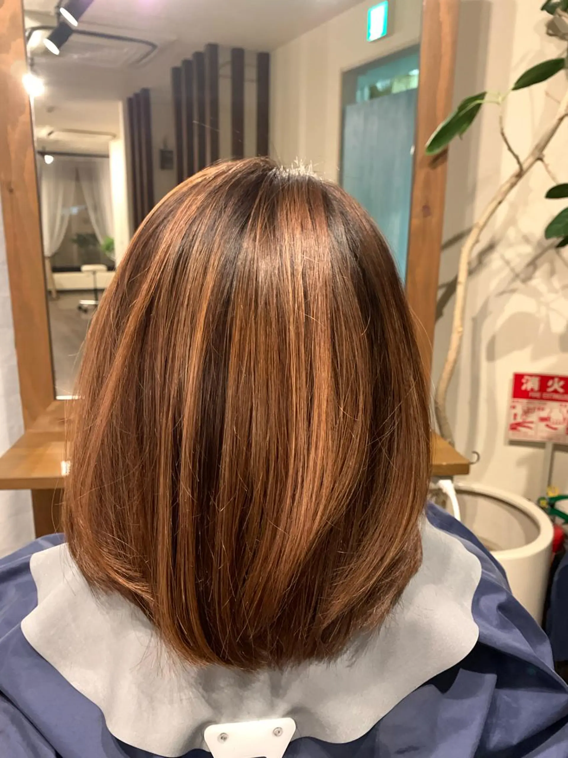 ミディアム カラー ハイライトカラー ハイライト LUCIA所属・透明感カラー/ブリー チ無し/瀧田恭平のヘアスタイル