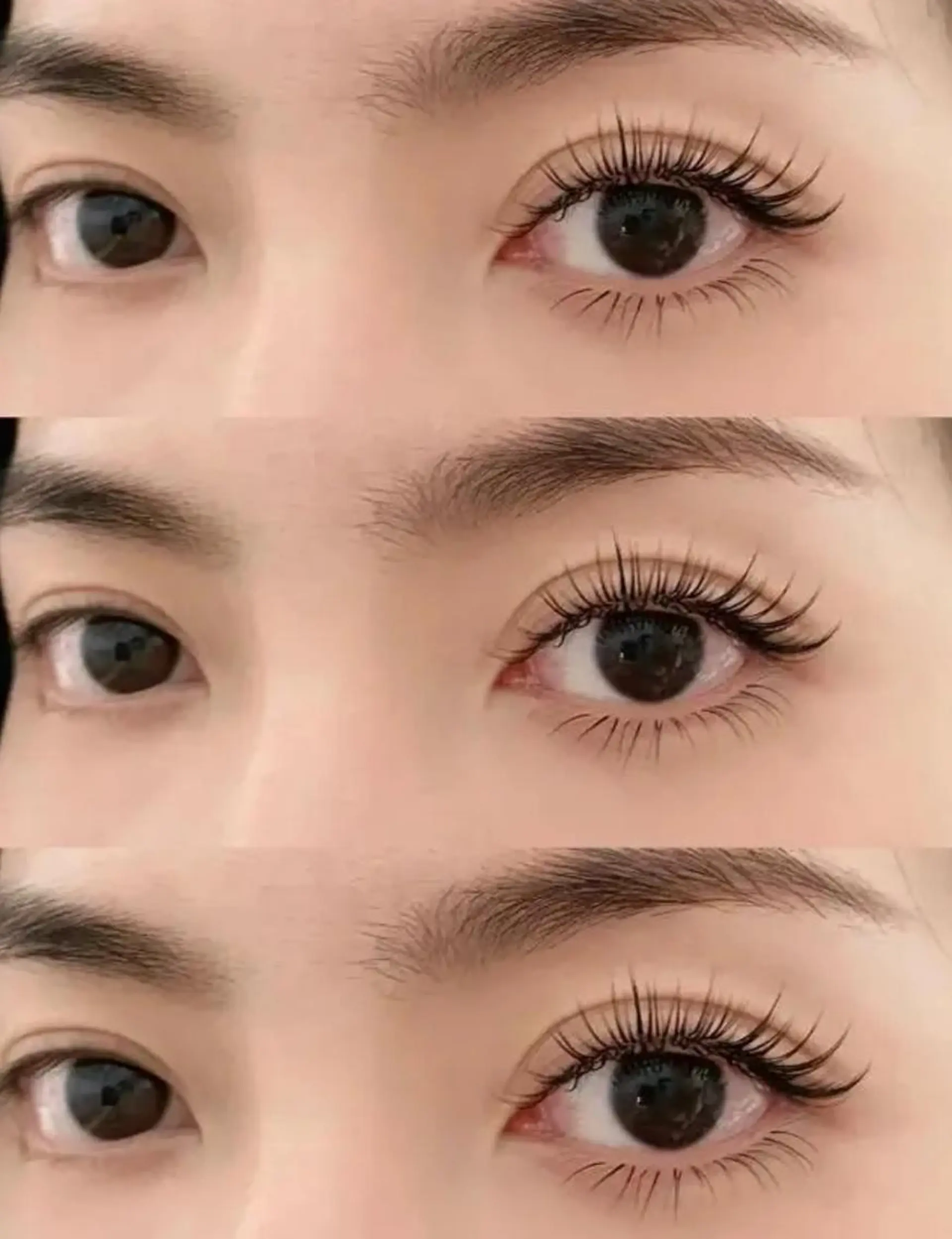 マツエク・マツパ まつげパーマ専門店 FOIのマツエク・マツパデザイン