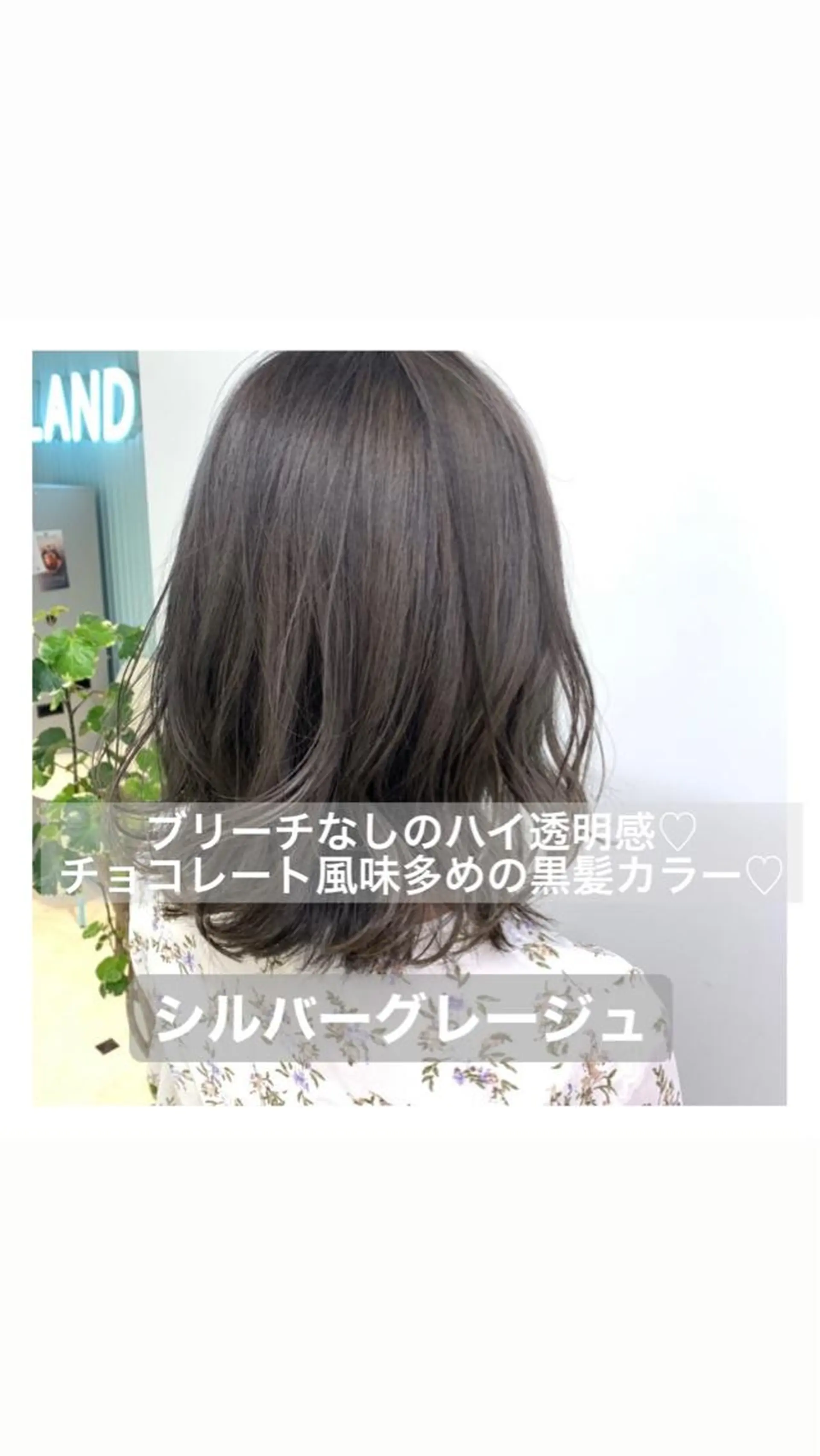 ミディアム カラー ヘアアレンジ グレージュ シルバー シルバーグレージュ ♡透け感カラー 大賀哲平♡のヘアスタイル