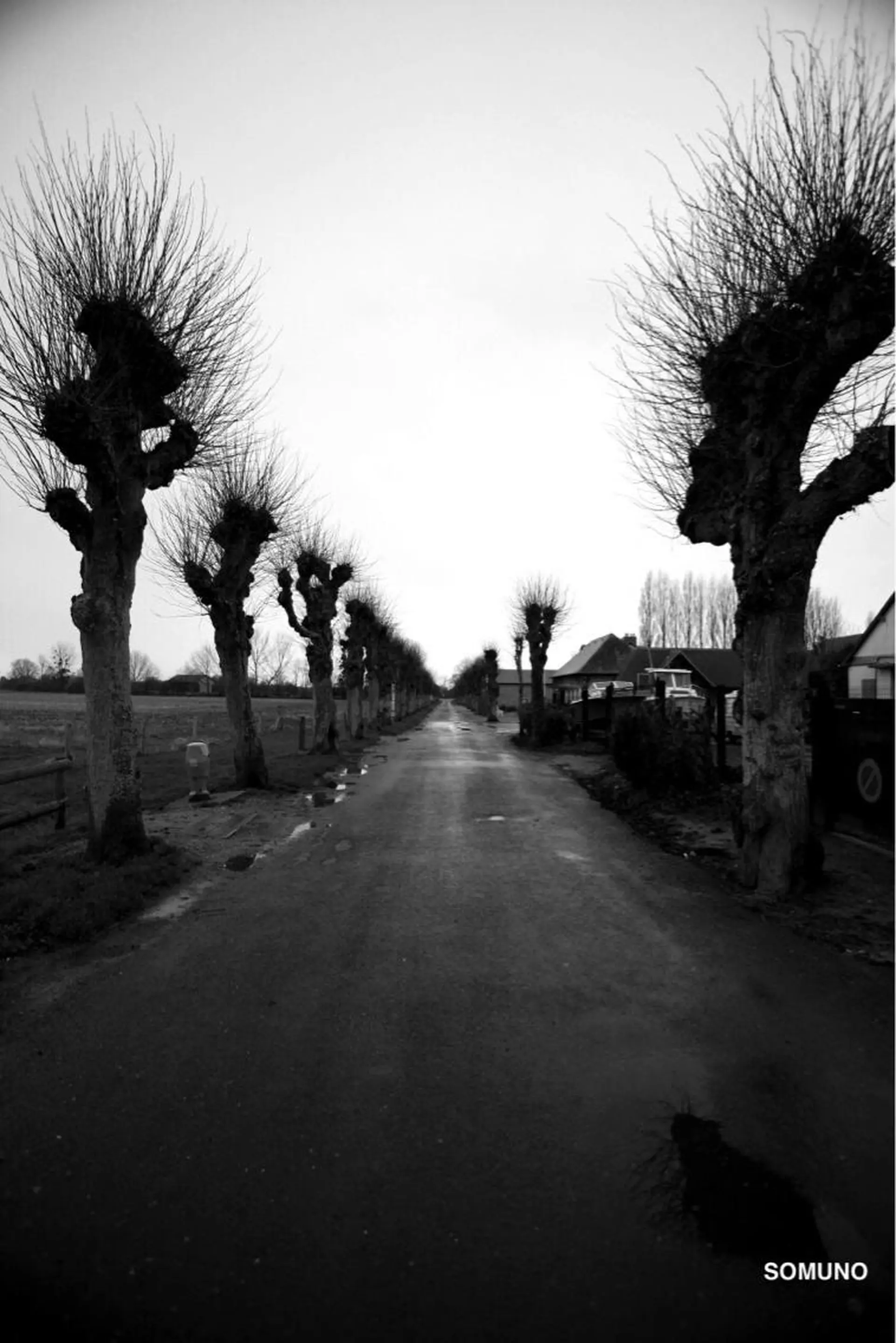 ソムノ所属・田村 竜一のヘアスタイル