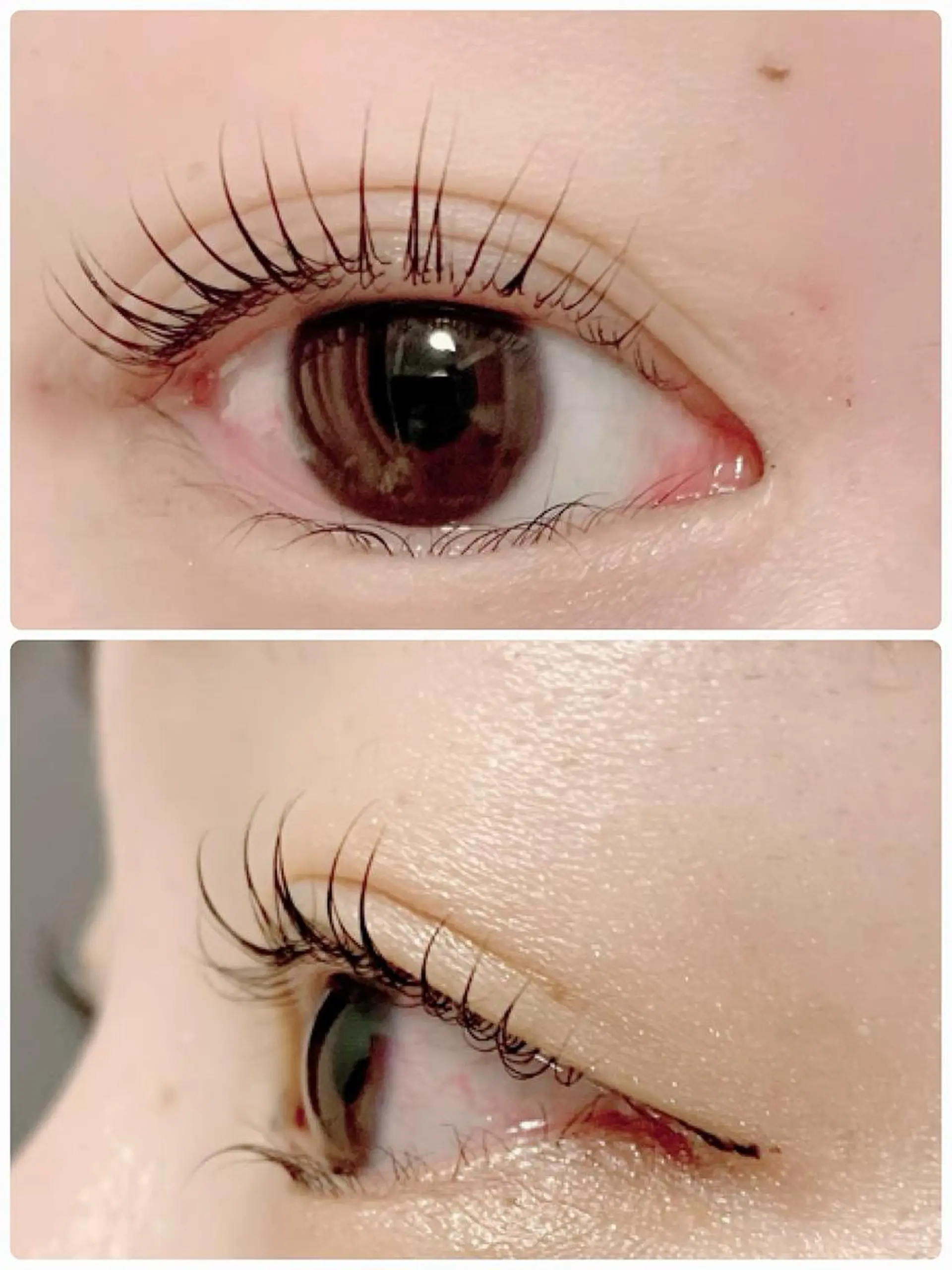 マツエク・マツパ マツパ teatree.. REINAのマツエク・マツパデザイン