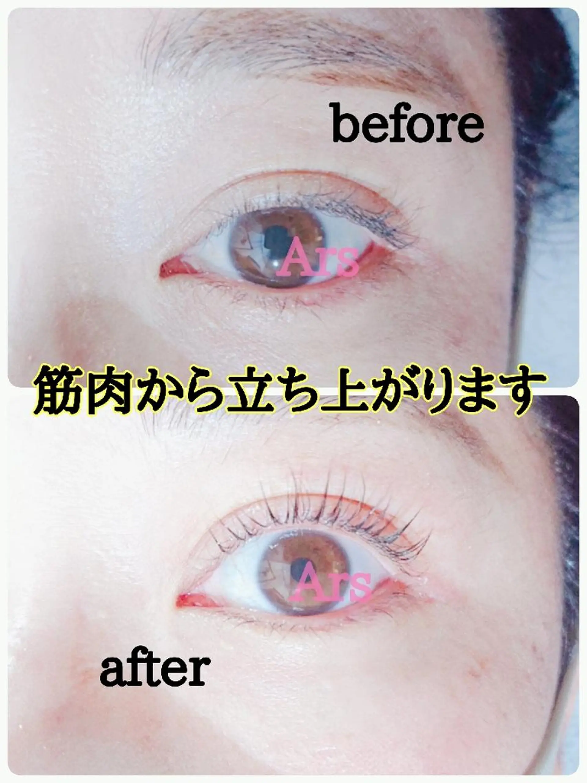 マツエク・マツパ アイリッドアップパーマ Ars  (ｱﾙｽ)所属・Ars      (ｱﾙｽ)のマツエク・マツパデザイン