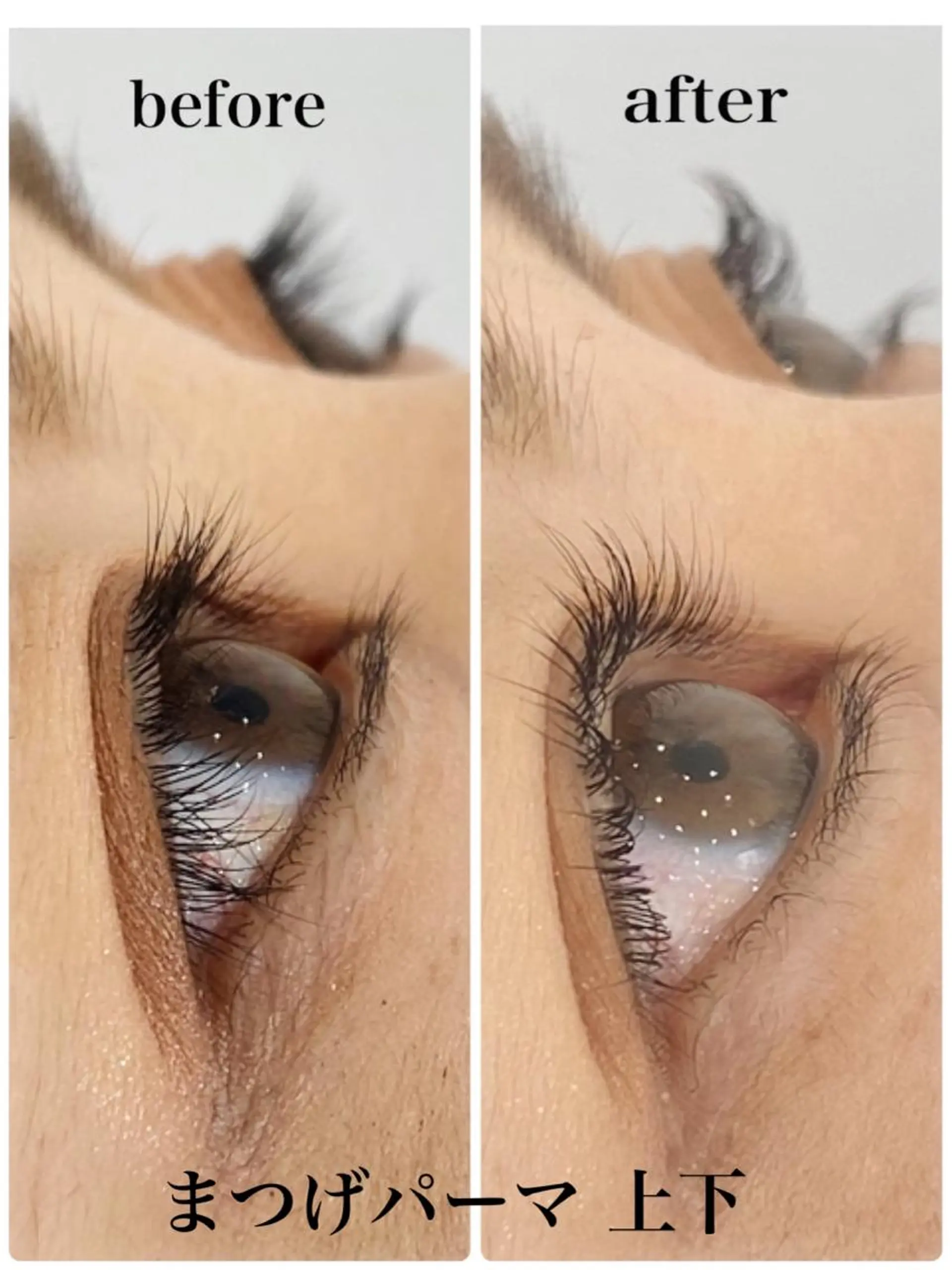 マツエク・マツパ まつげパーマ マツパ white eye 西宮北口店所属・WHITE EYE 🦋松島のエステ・リラクイメージ
