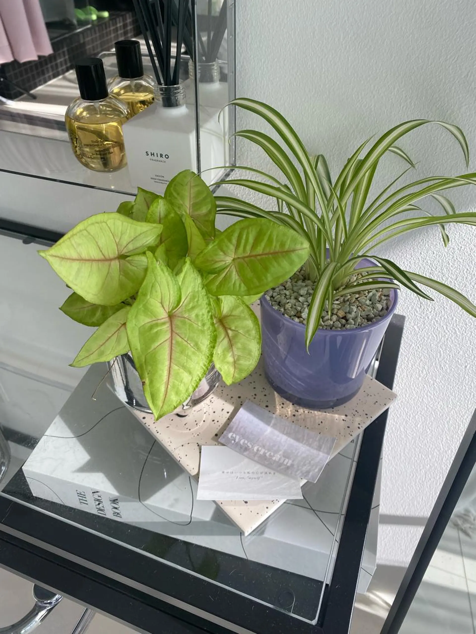 マツエク・マツパ eyes cream所属・まつ毛と眉毛のおみせ 🪄なんばのマツエク・マツパデザイン