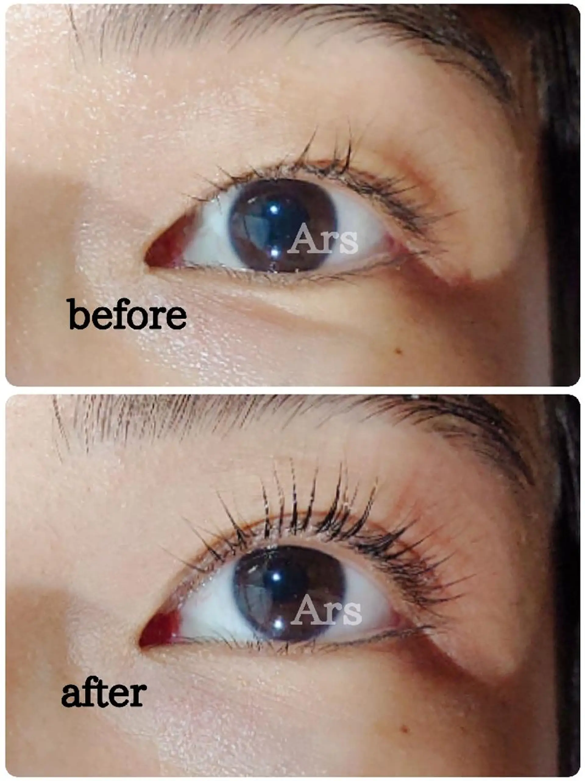 マツエク・マツパ アイリッドアップパーマ Ars  (ｱﾙｽ)所属・Ars      (ｱﾙｽ)のマツエク・マツパデザイン