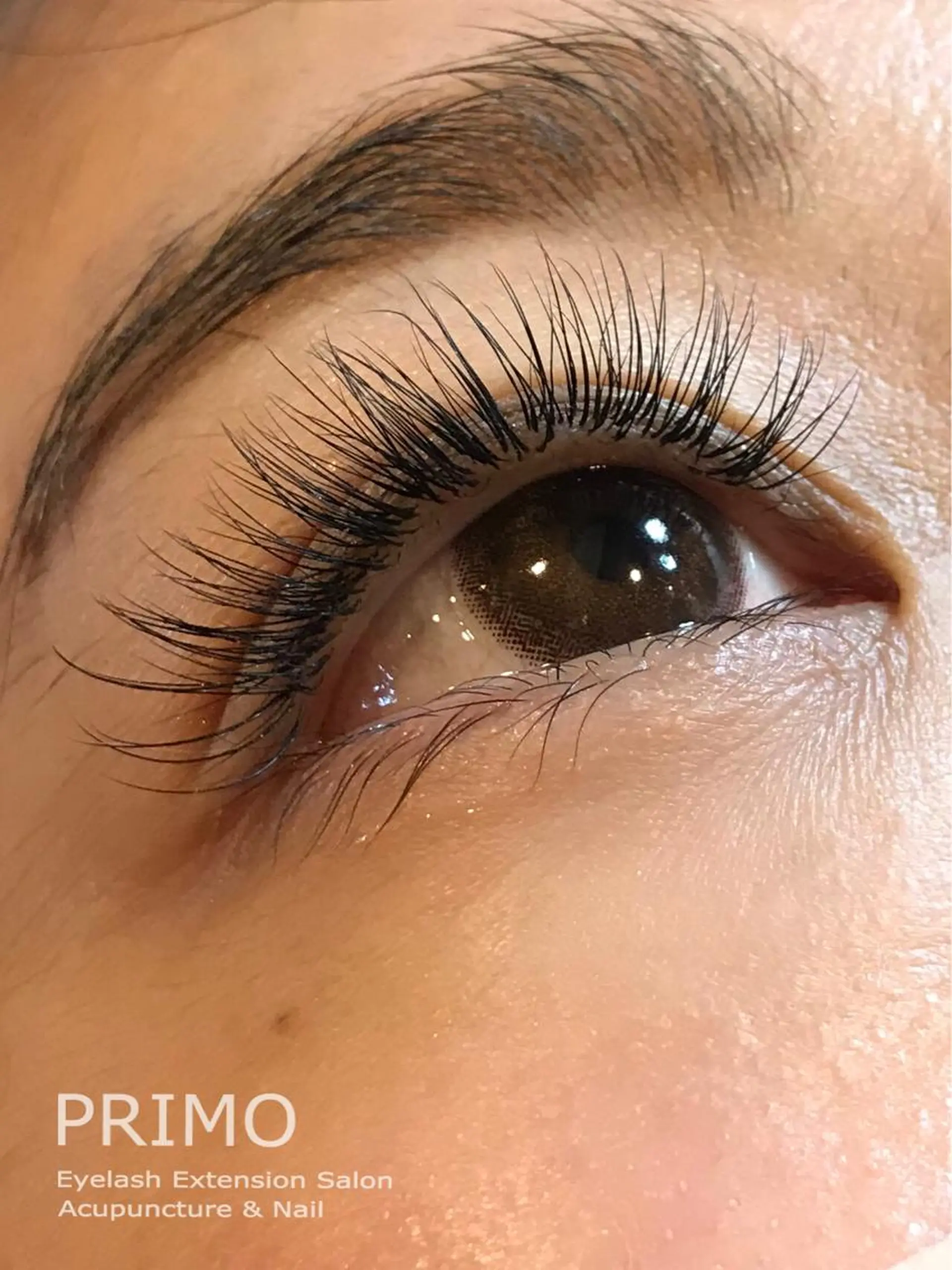 マツエク・マツパ PRIMO🐈🌱 マツパ/黒ティントのマツエク・マツパデザイン