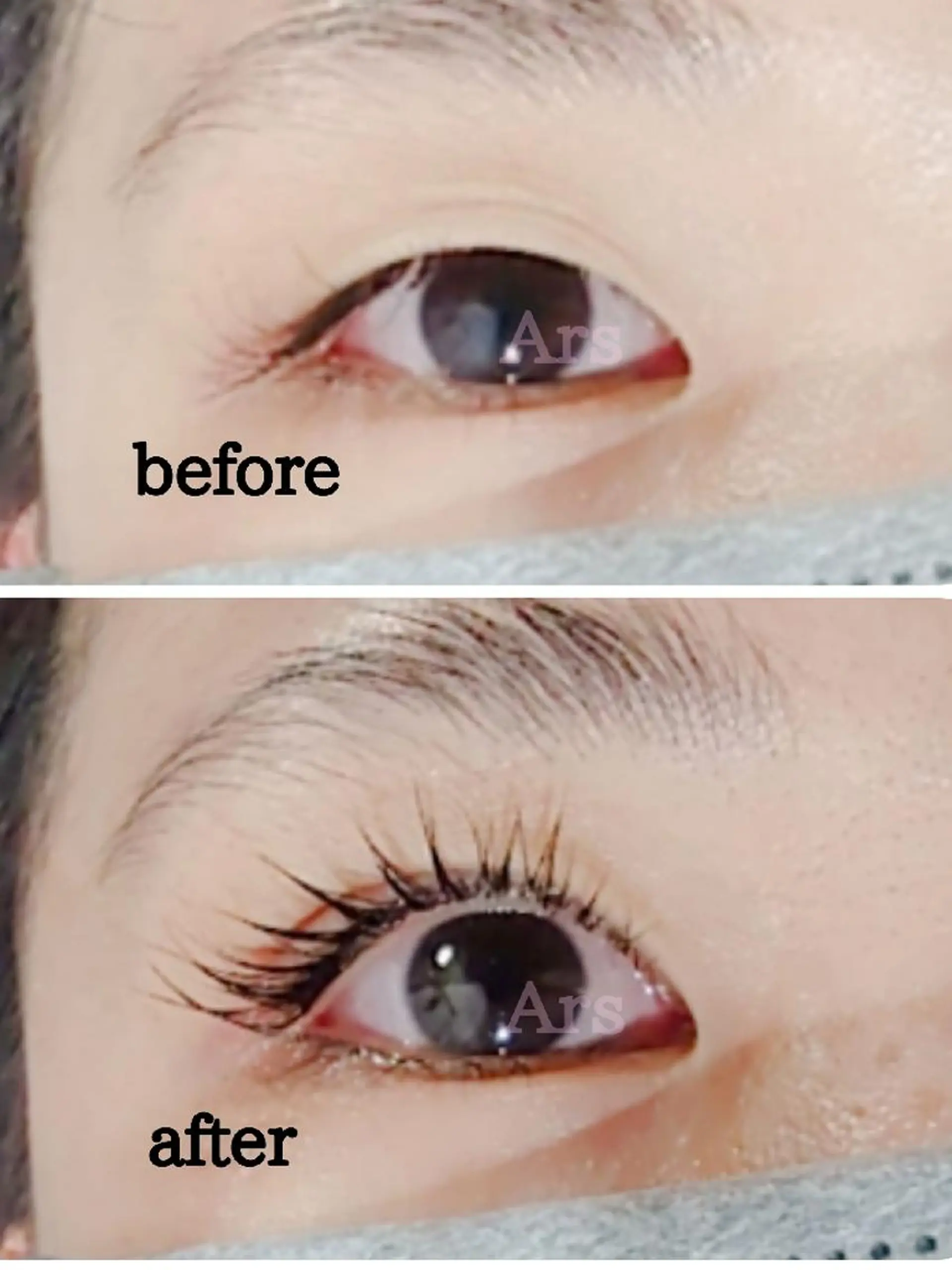 マツエク・マツパ アイリッドアップパーマ マツパ Ars  (ｱﾙｽ)所属・Ars      (ｱﾙｽ)のマツエク・マツパデザイン