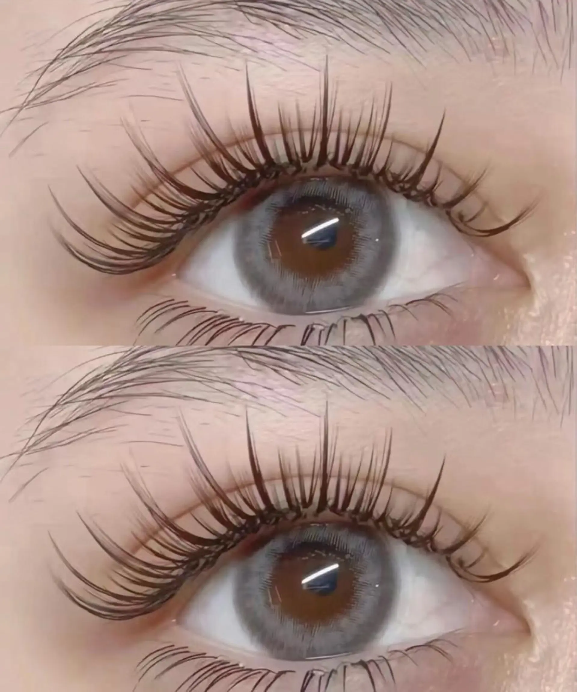 マツエク・マツパ 付け放題 ワンホンマツエク マツエク Angela エステサロンのマツエク・マツパデザイン