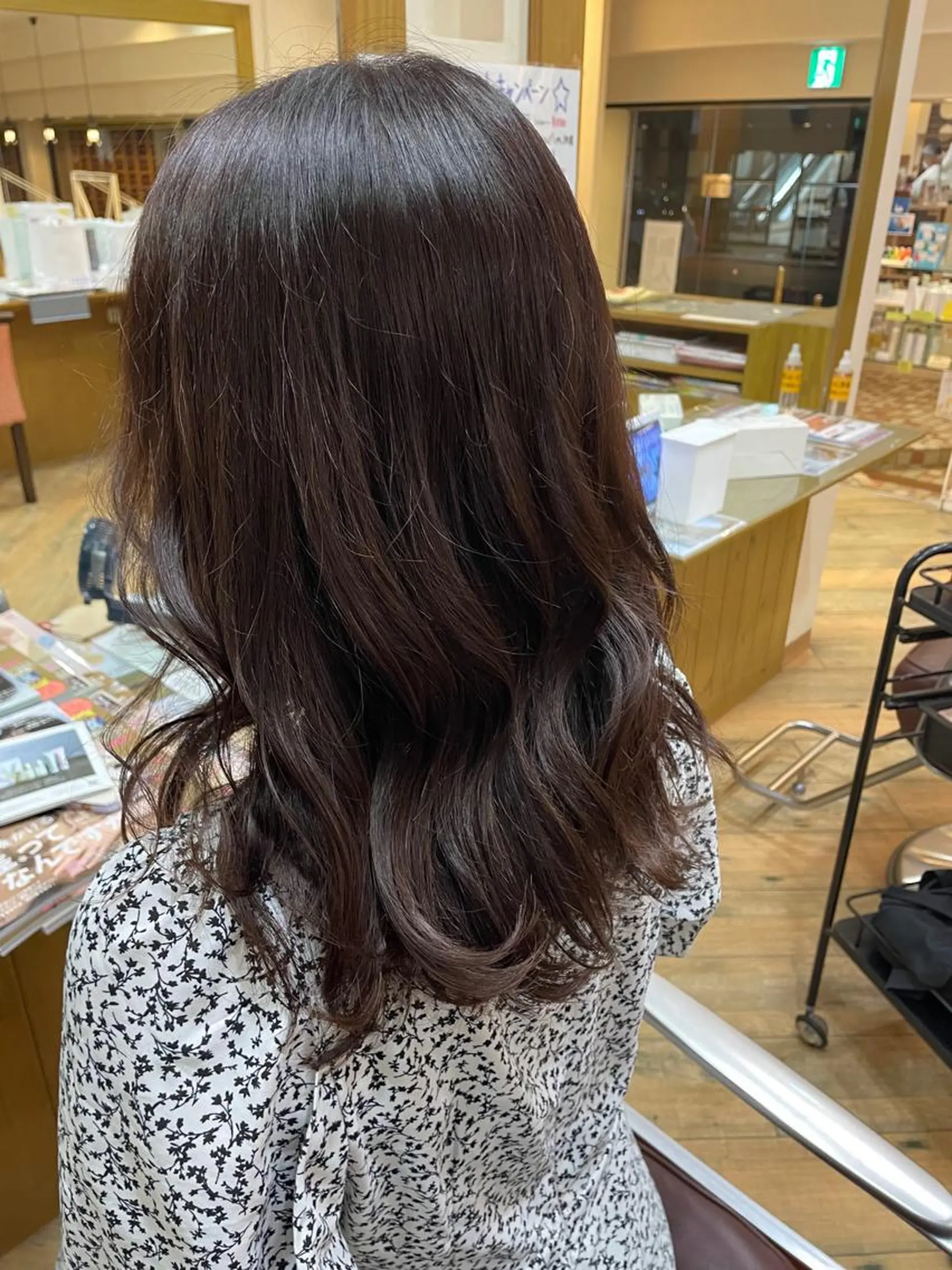 セミロング カラー ショートカット /堀内波玲のヘアスタイル