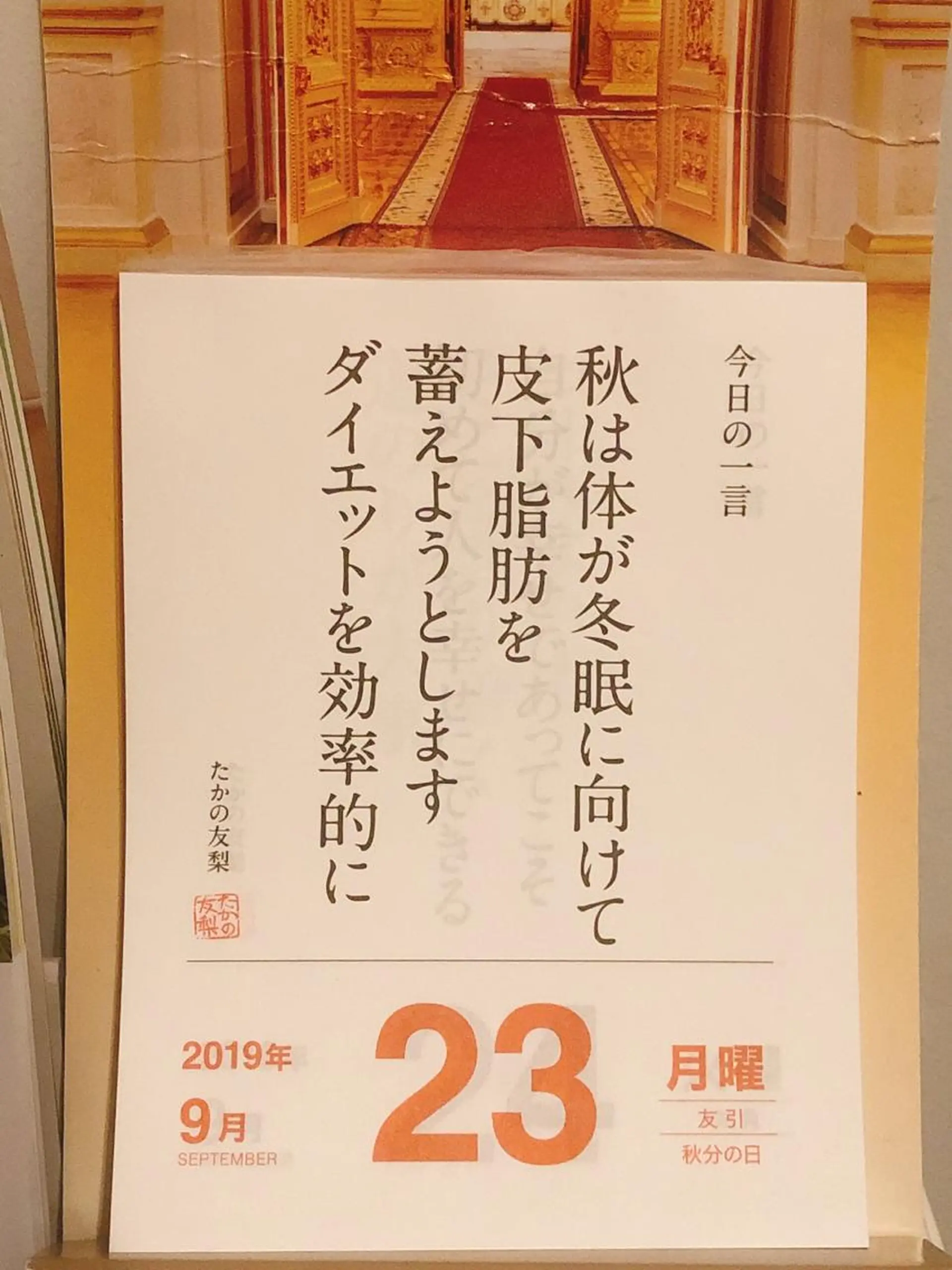 ショート カラー パーマ ヘアアレンジ メンズ キッズ ネイル マツエク・マツパ ‍痩身＆ボディ 結果出し🌟丹野のエステ・リラクイメージ