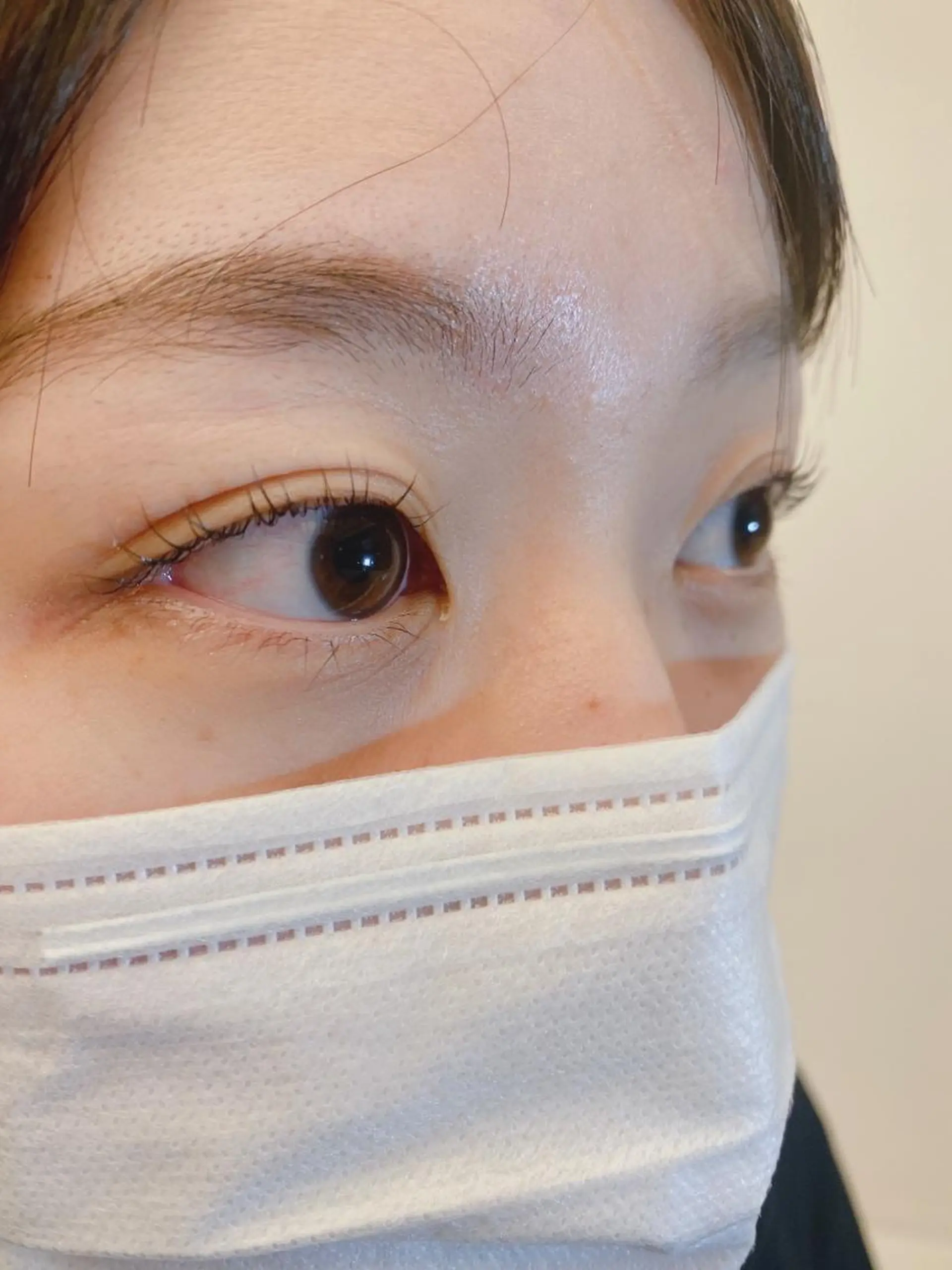 マツエク・マツパ Luana所属・🕊 Luana 🌷︎の眉毛・アイブロウイメージ