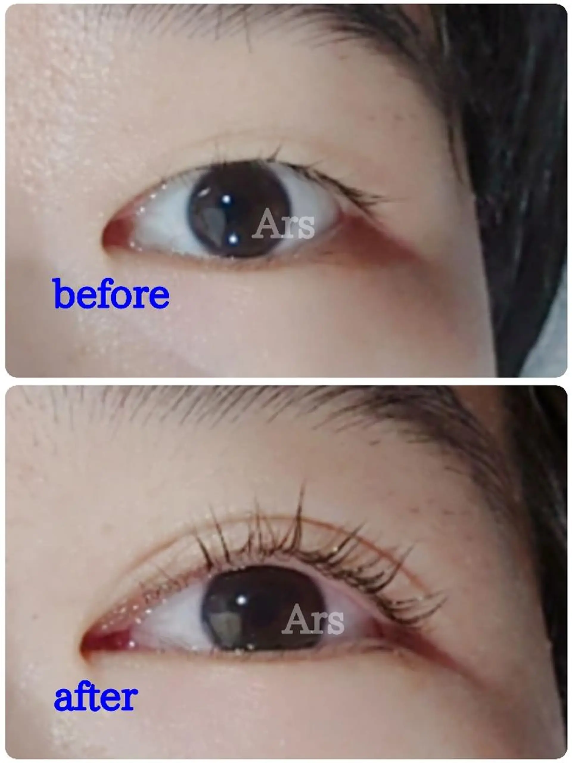 マツエク・マツパ アイリッドアップパーマ Ars  (ｱﾙｽ)所属・Ars      (ｱﾙｽ)のマツエク・マツパデザイン