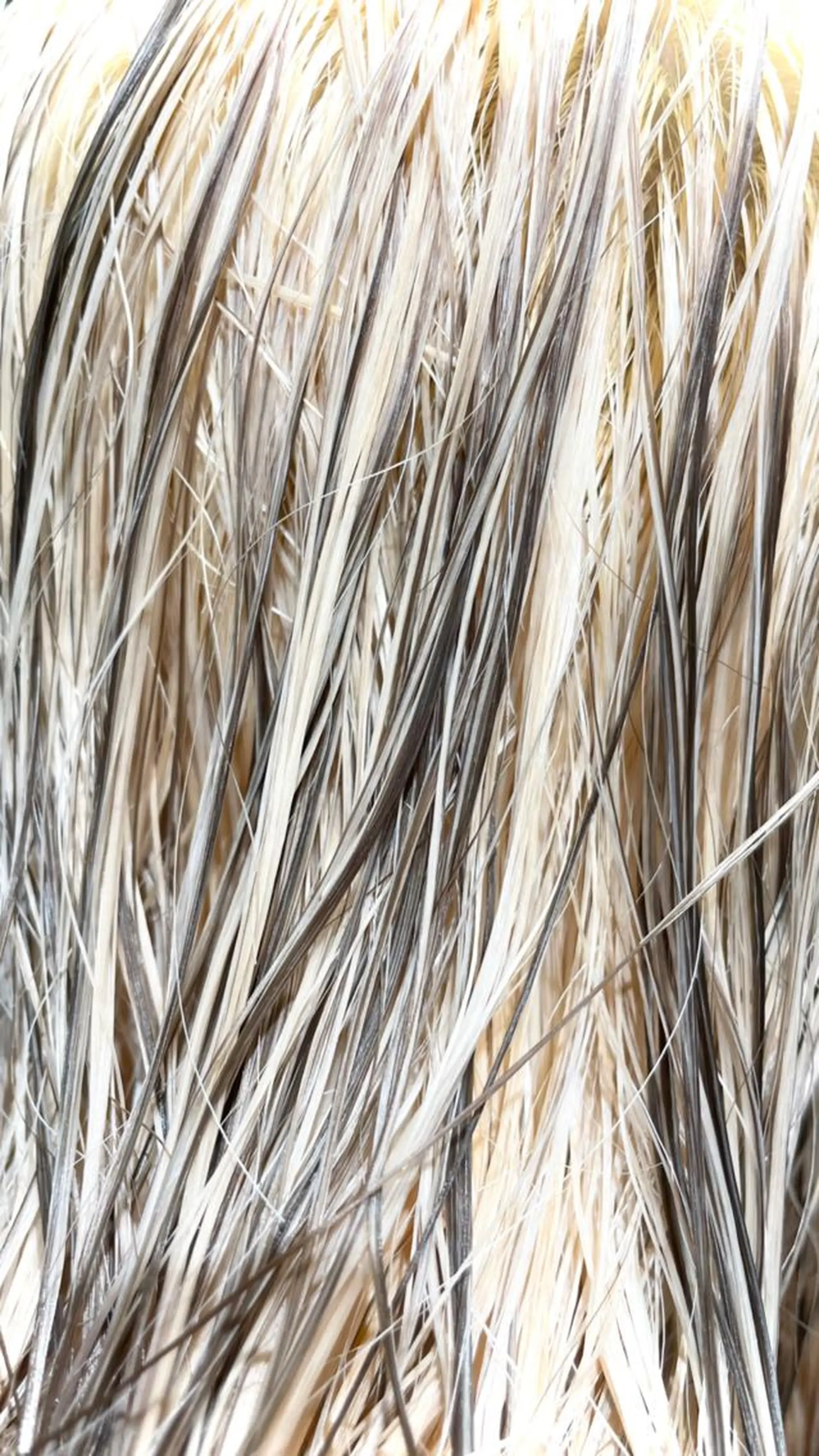 ミディアム カラー デザインカラー ハイライトカラー ハイライト GO TODAY シェアサロン Flos店所属・耳つぼジュエリー 👂🏻🌸ayaのエステ・リラクイメージ